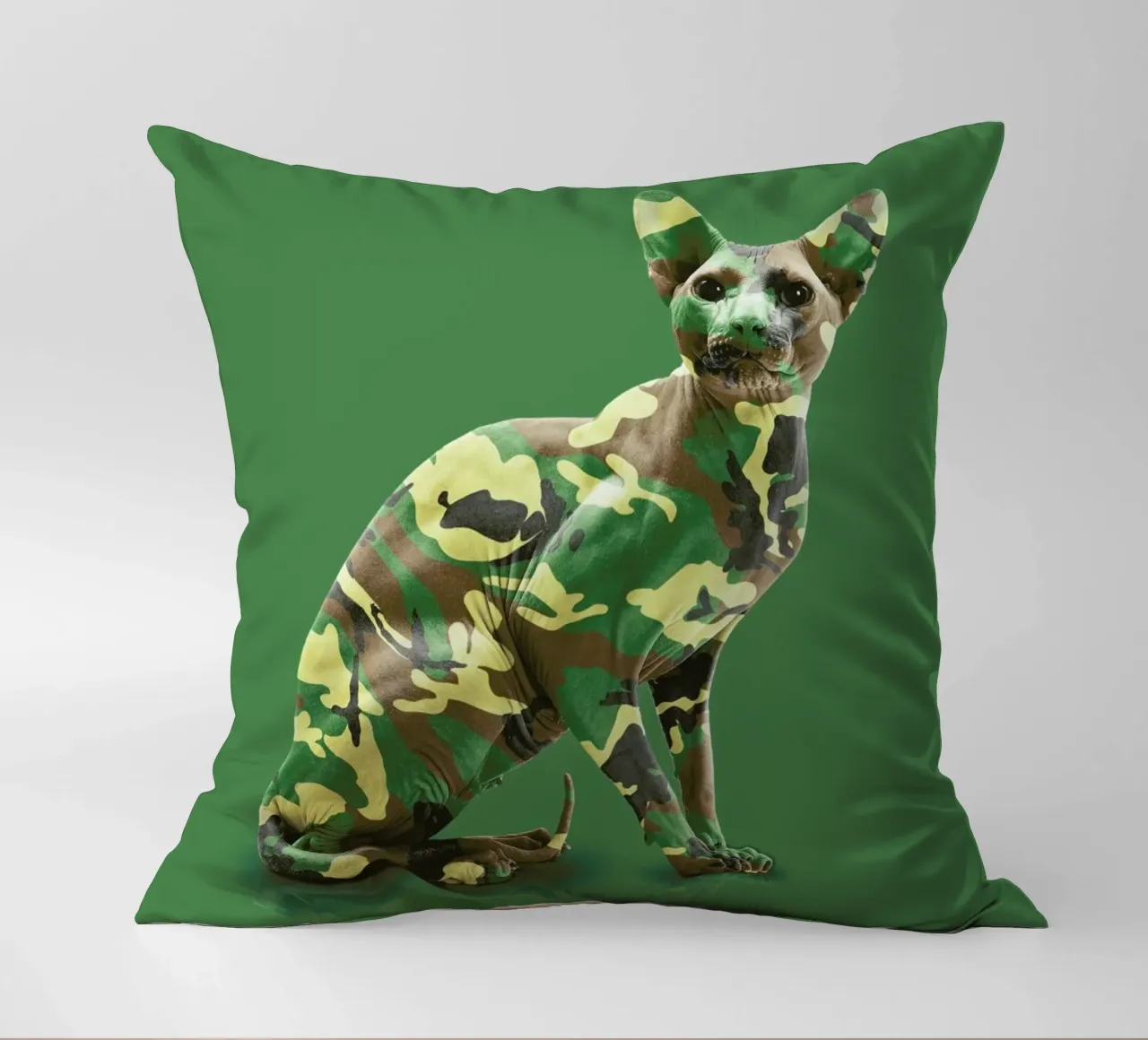 Camoucat cuscino da suckertom