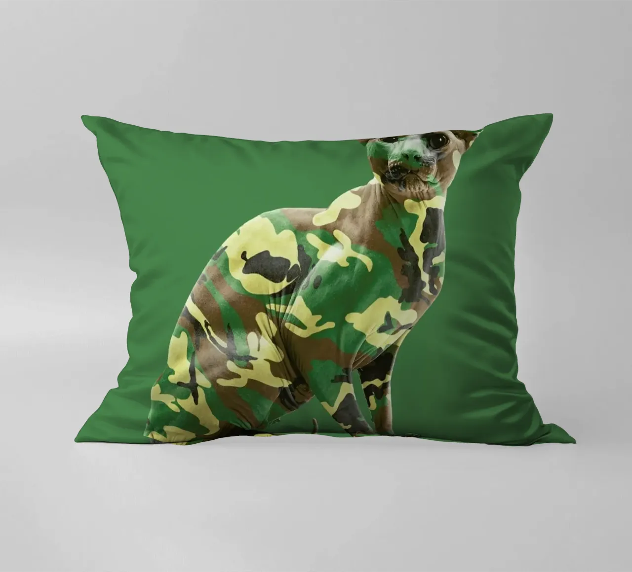 Camoucat cuscino da suckertom