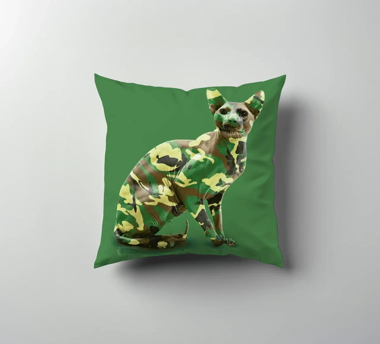 Camoucat cuscino da suckertom