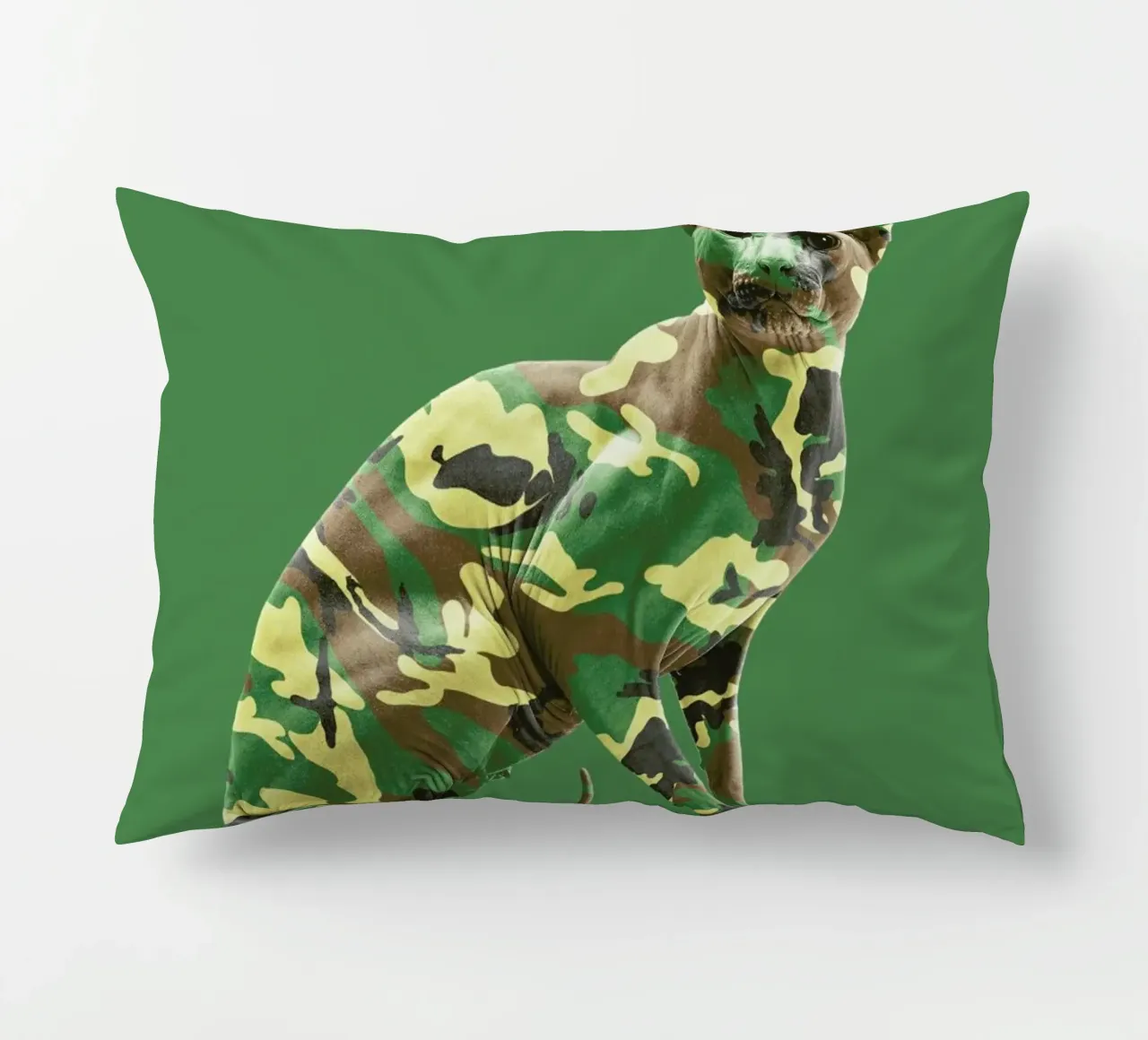 Camoucat cuscino da suckertom