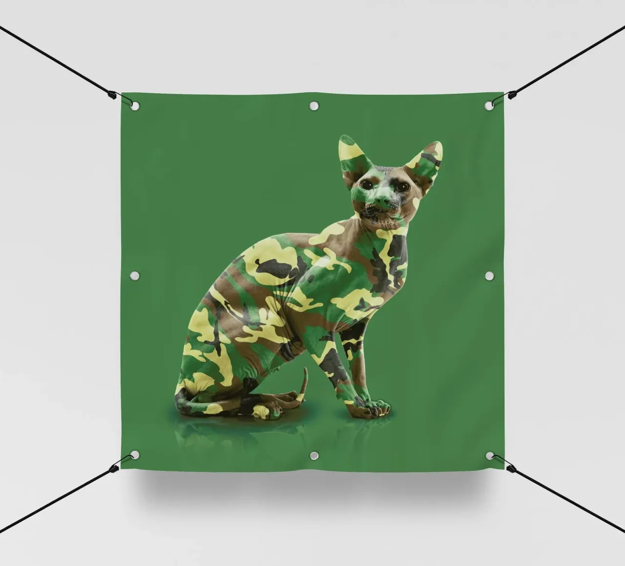 Camoucat telo in pvc da suckertom