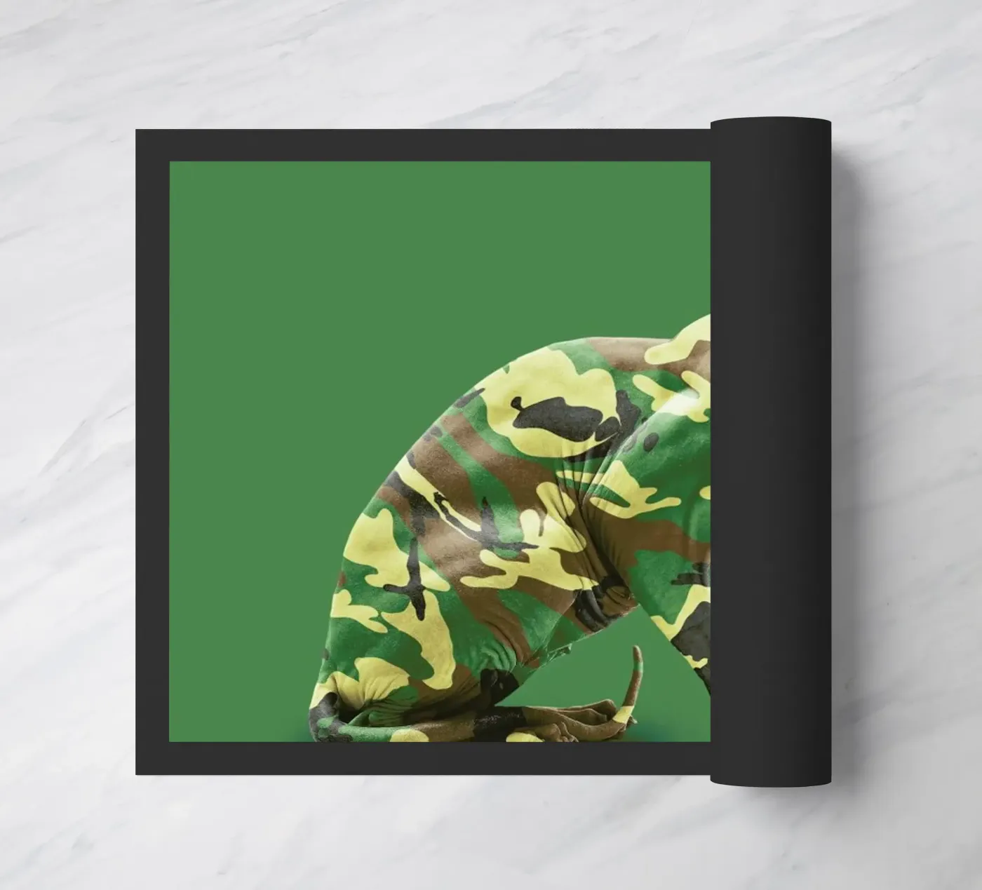 Camoucat zerbino da suckertom