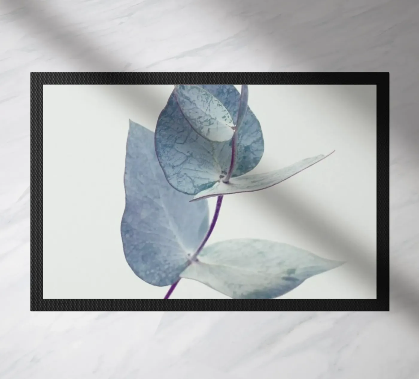 Eucalyptus I zerbino da Elena Veronese