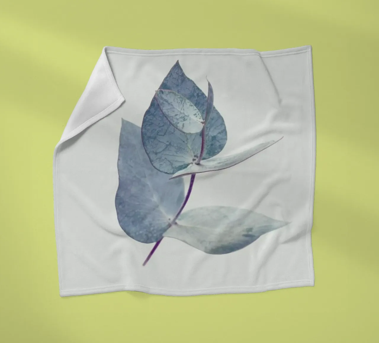 Eucalyptus I coperta in pile da Elena Veronese