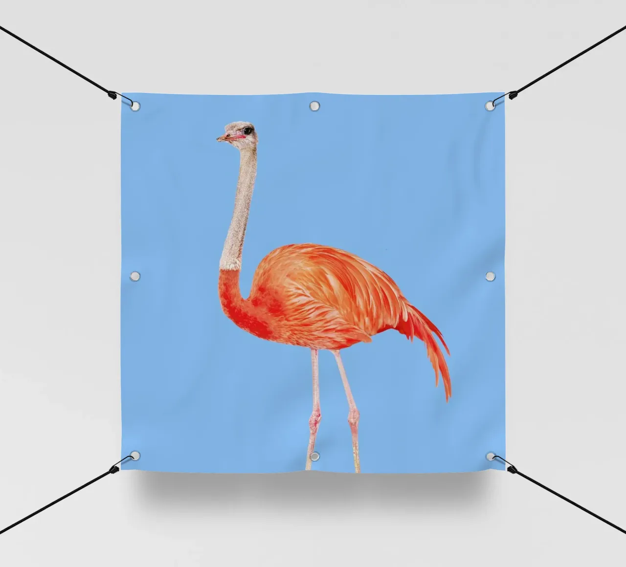 Flamingostrauss telo in pvc da suckertom