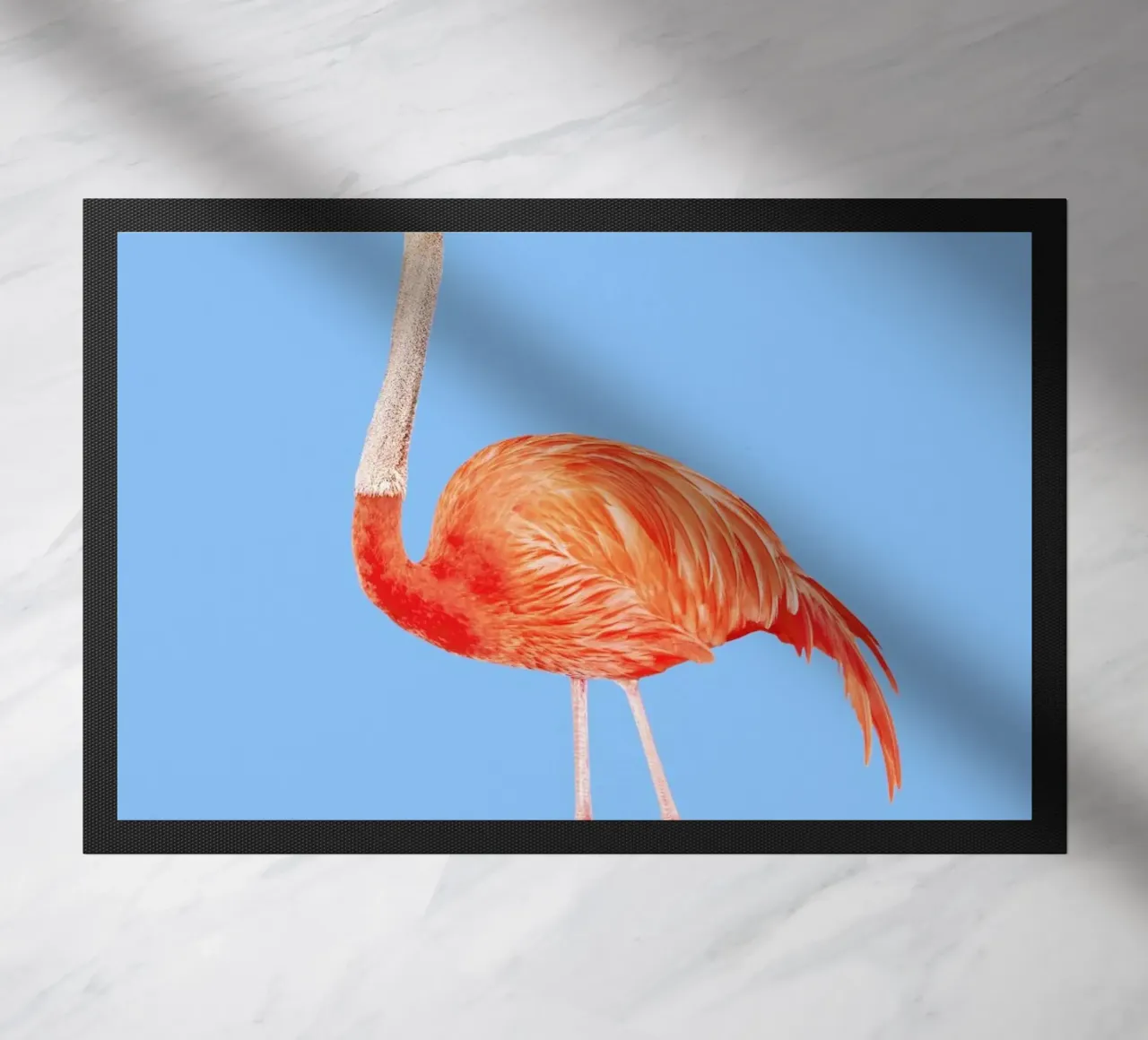 Flamingostrauss zerbino da suckertom