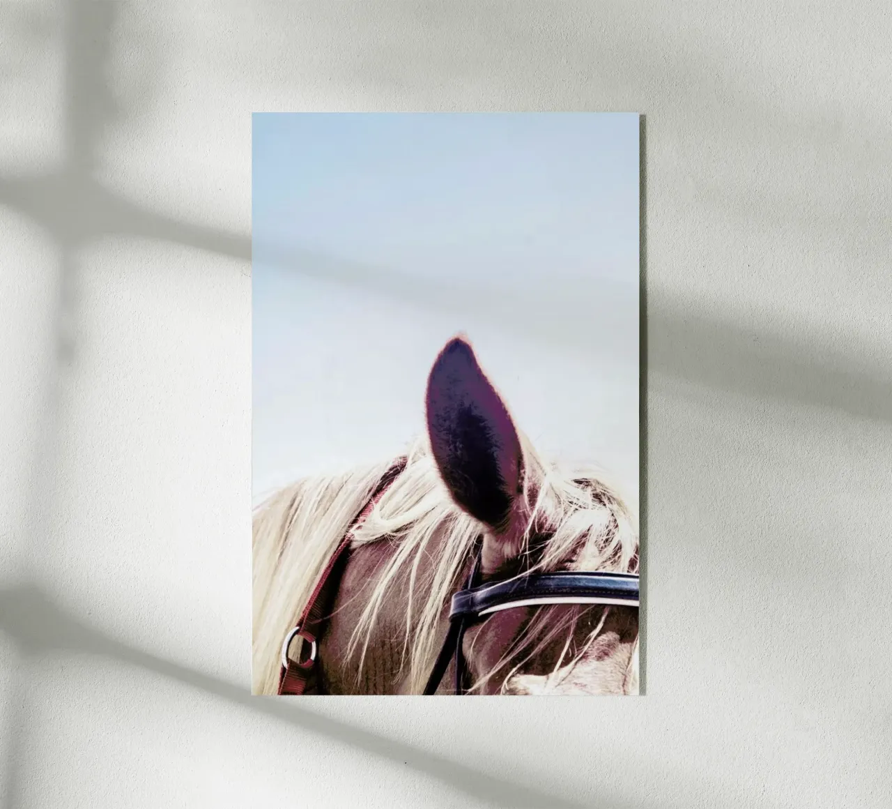 Horse III plexiglass da Victoria Frost