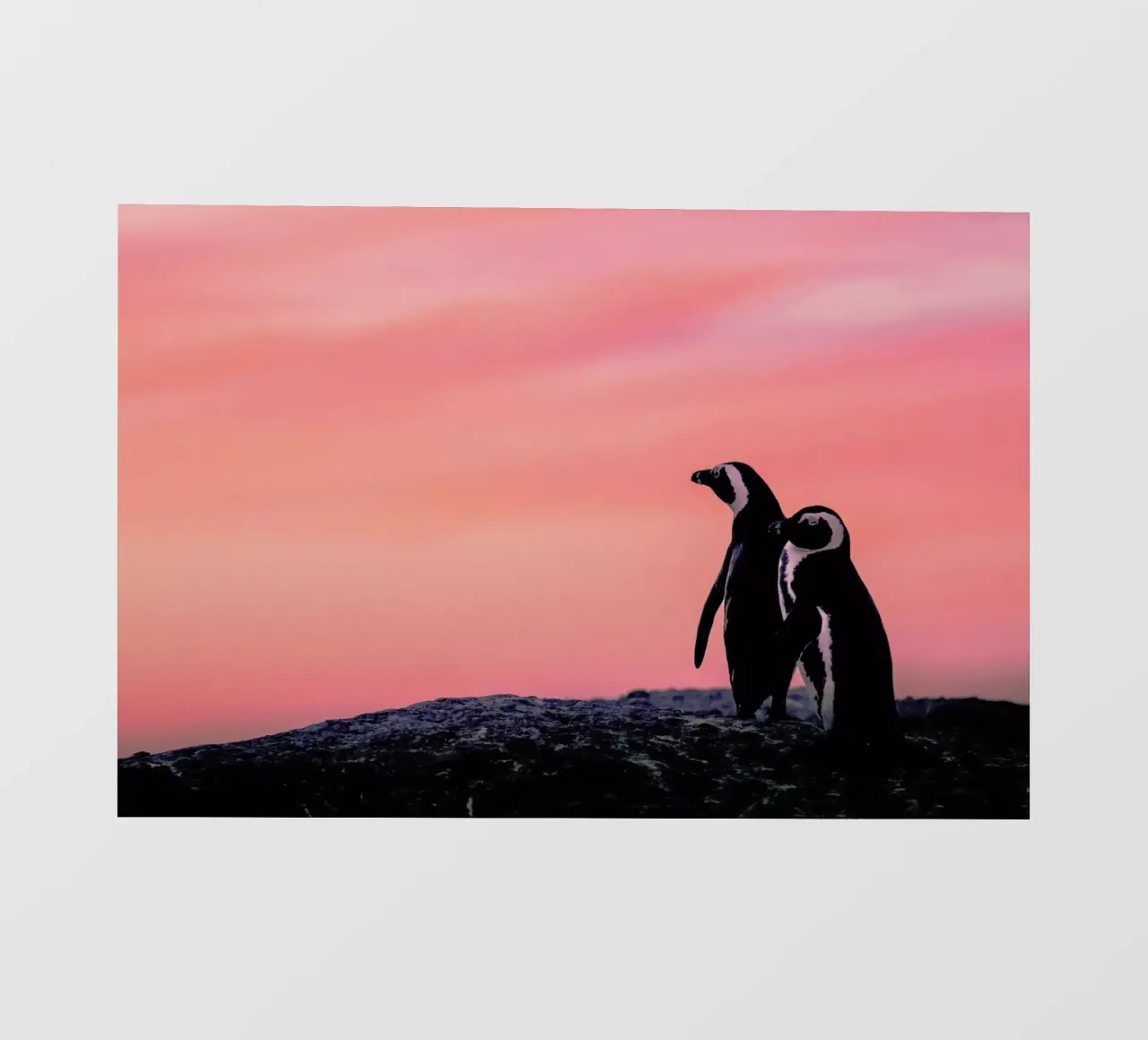 Tickled Pink by @JimmySong1 telo in pvc da EyeEm Mobile GmbH