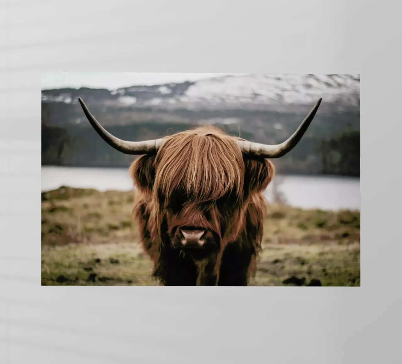 A Friendly Giant by @stefankuerzinger pellicola backlit da EyeEm Mobile GmbH