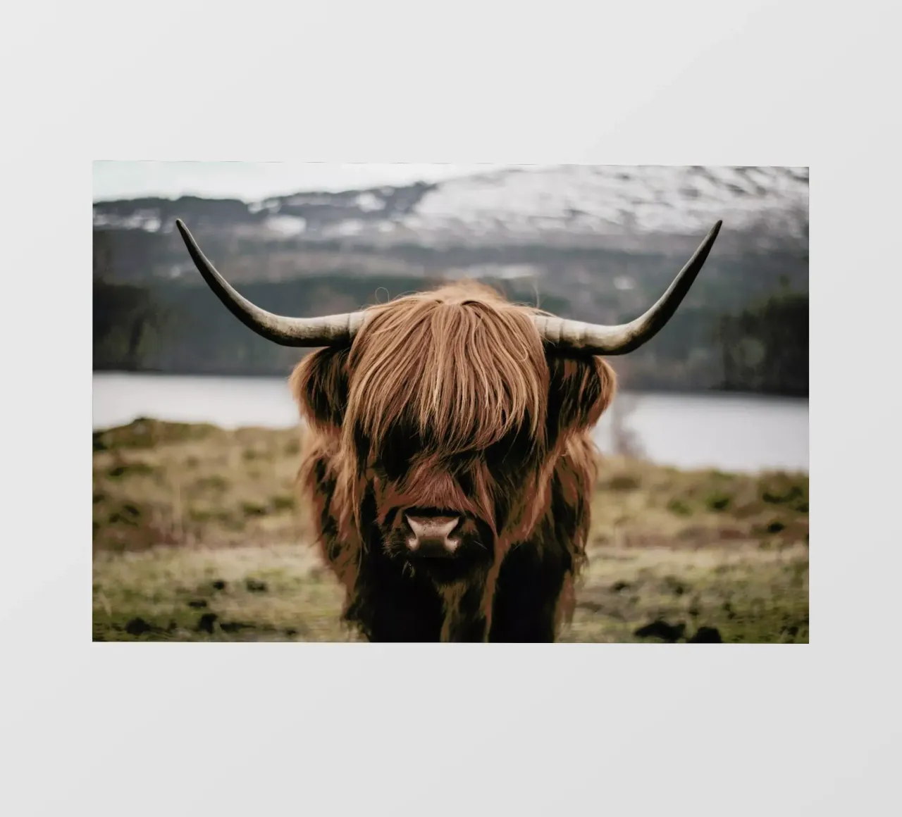 A Friendly Giant by @stefankuerzinger pellicola backlit da EyeEm Mobile GmbH