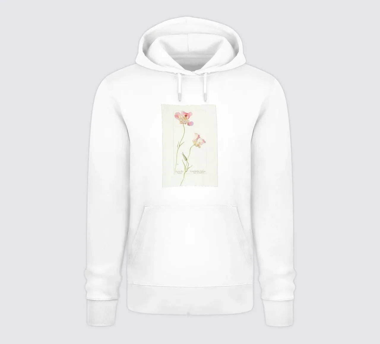 Butterfly Tulip Calochorus Luteus var Oculatus sudadera con capucha de Artokoloro Quint Lox Ltd