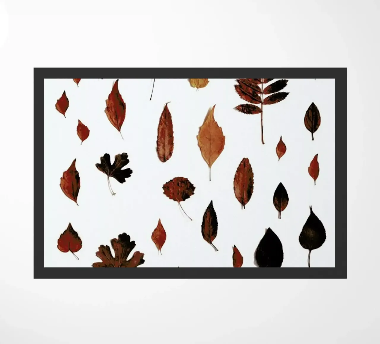 Signs Of Autumn zerbino da Studio Nahili