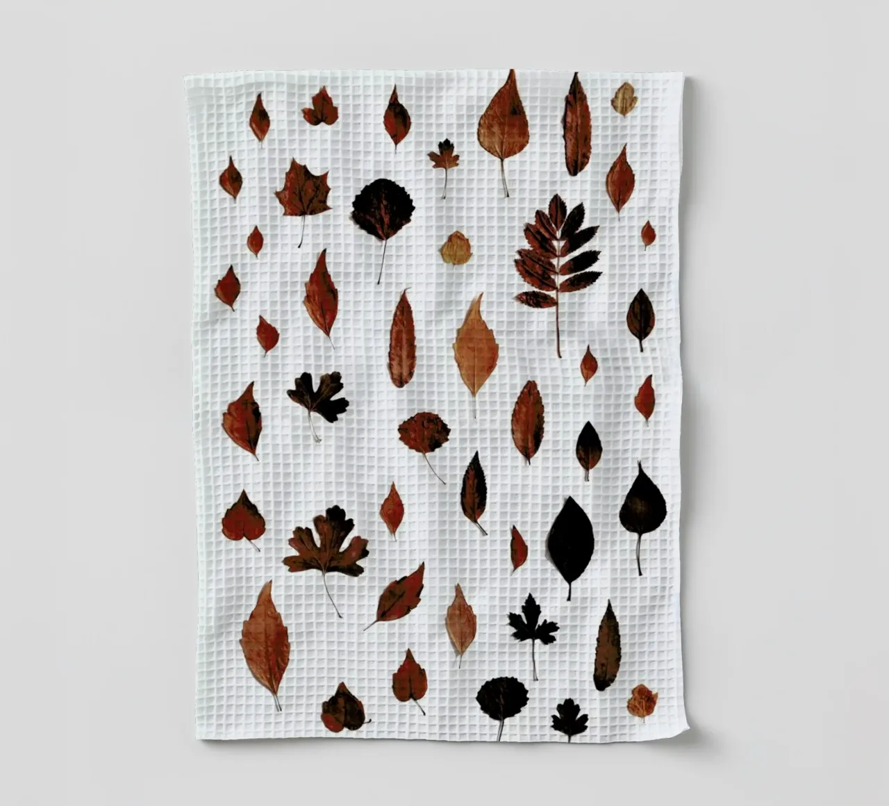 Signs Of Autumn canovaccio da cucina da Studio Nahili