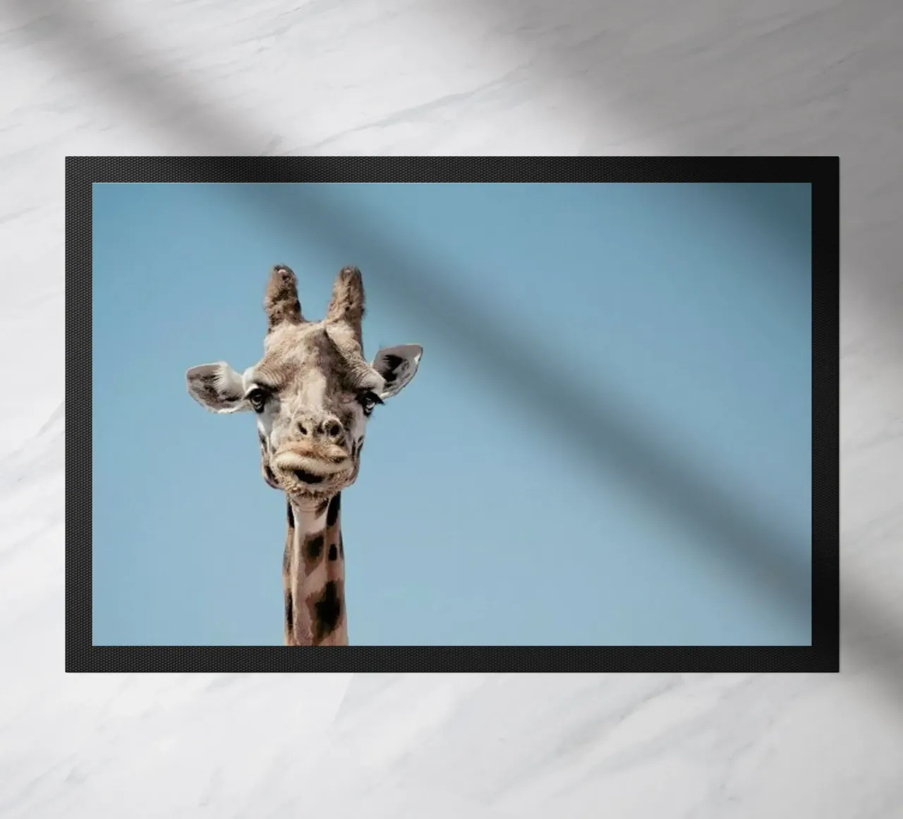 An Elegant Giant zerbino da Natural Kingdom