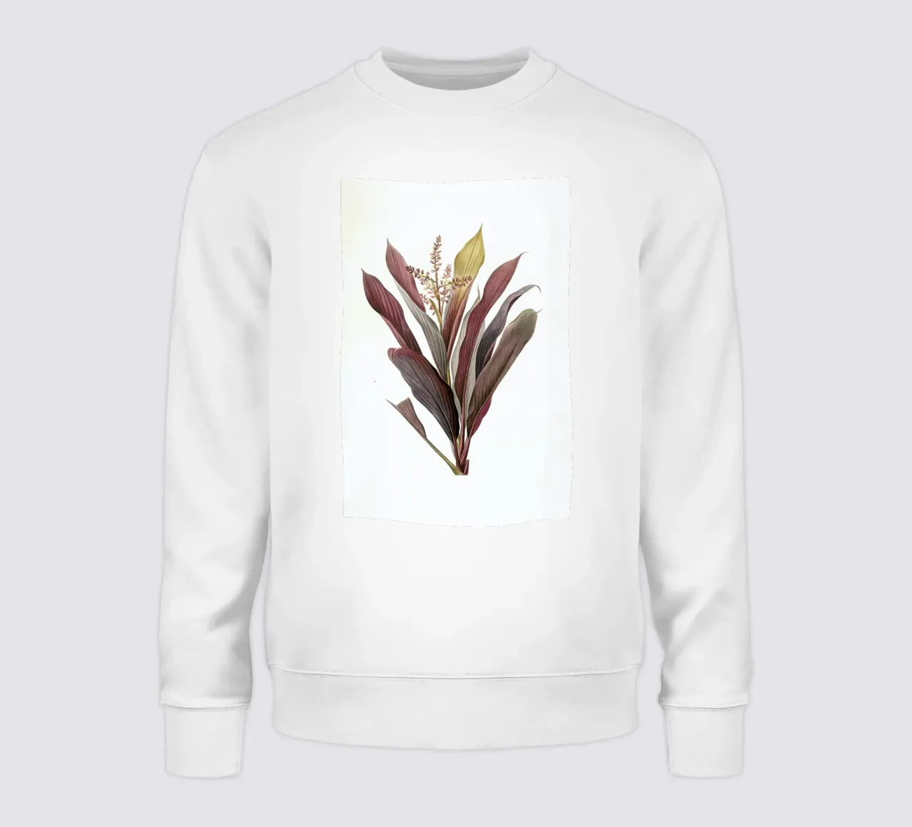 Dracoena terminalis, Dragon Lily, Good Luck Tree -Pierre Joseph felpa da Artokoloro Quint Lox Ltd