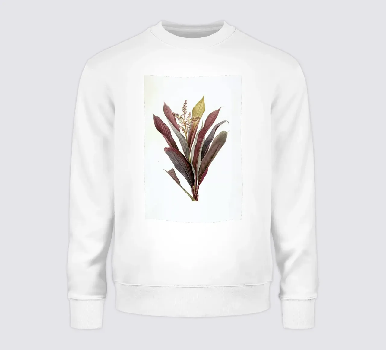 Dracoena terminalis, Dragon Lily, Good Luck Tree -Pierre Joseph felpa da Artokoloro Quint Lox Ltd