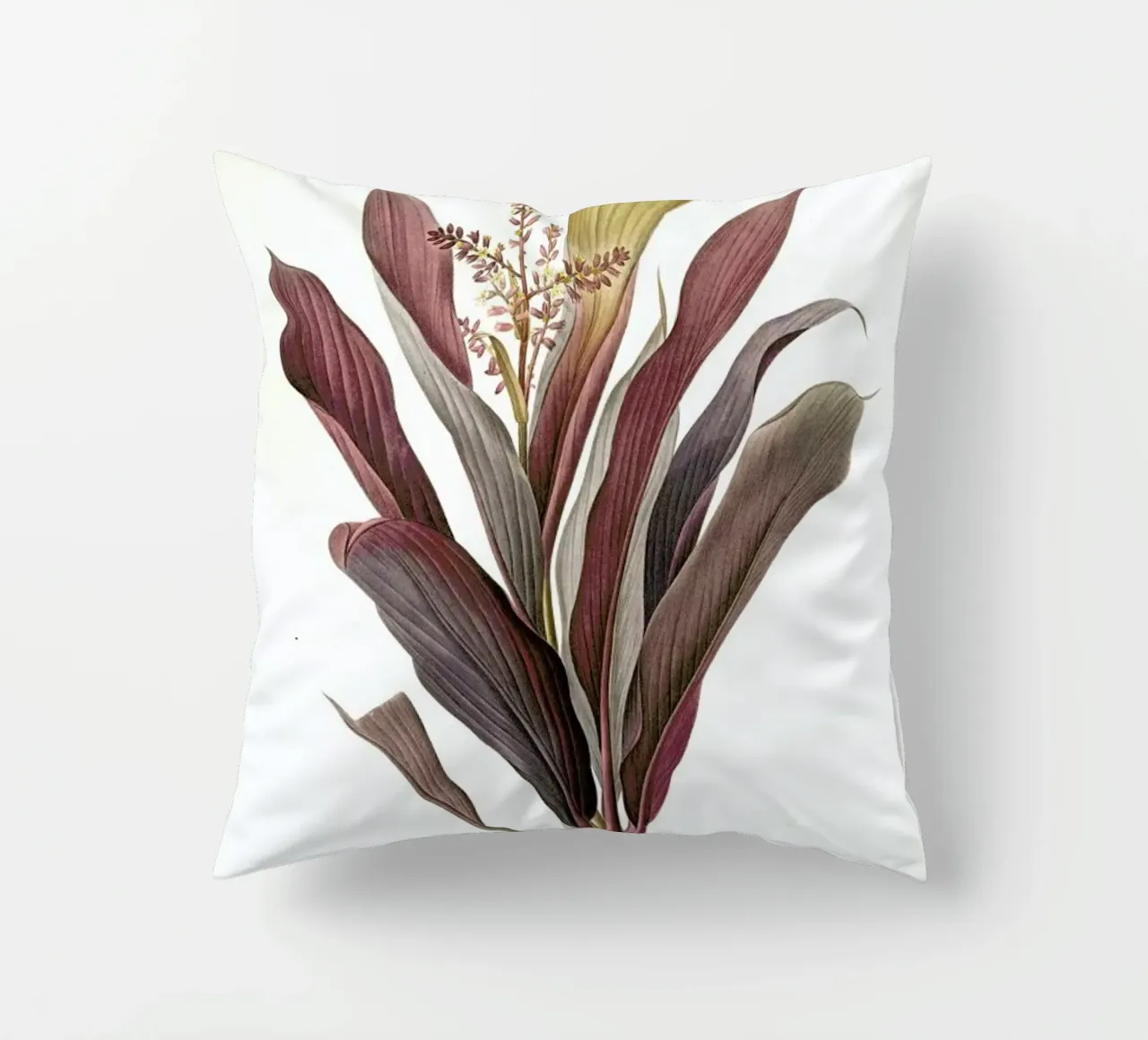 Dracoena terminalis, Dragon Lily, Good Luck Tree -Pierre Joseph cuscino da Artokoloro Quint Lox Ltd