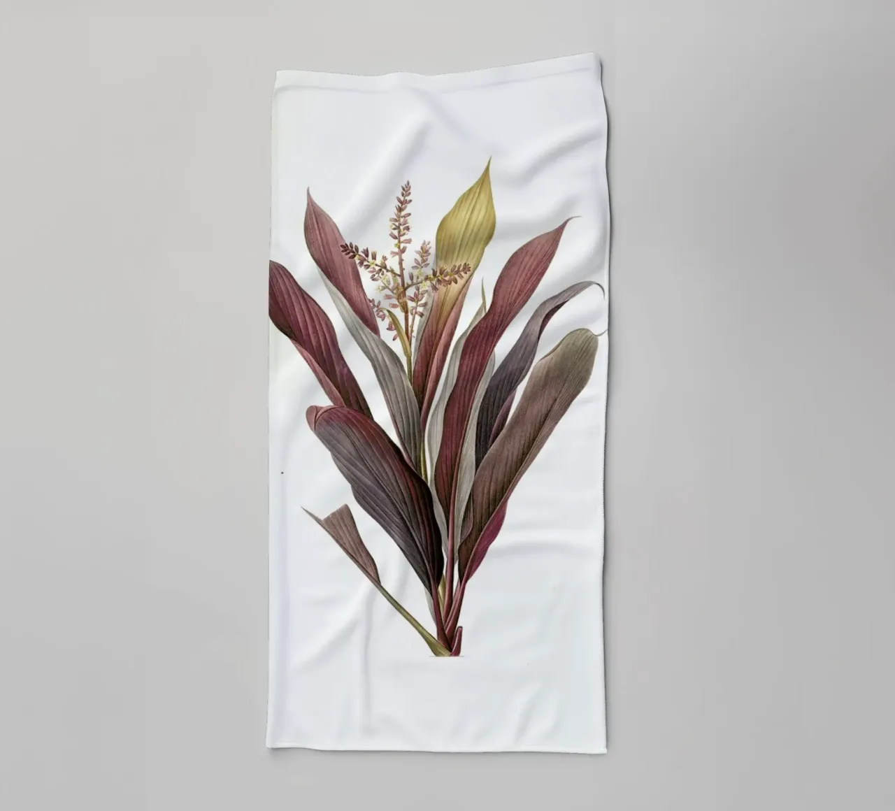 Dracoena terminalis, Dragon Lily, Good Luck Tree -Pierre Joseph asciugamano da bagno da Artokoloro Quint Lox Ltd