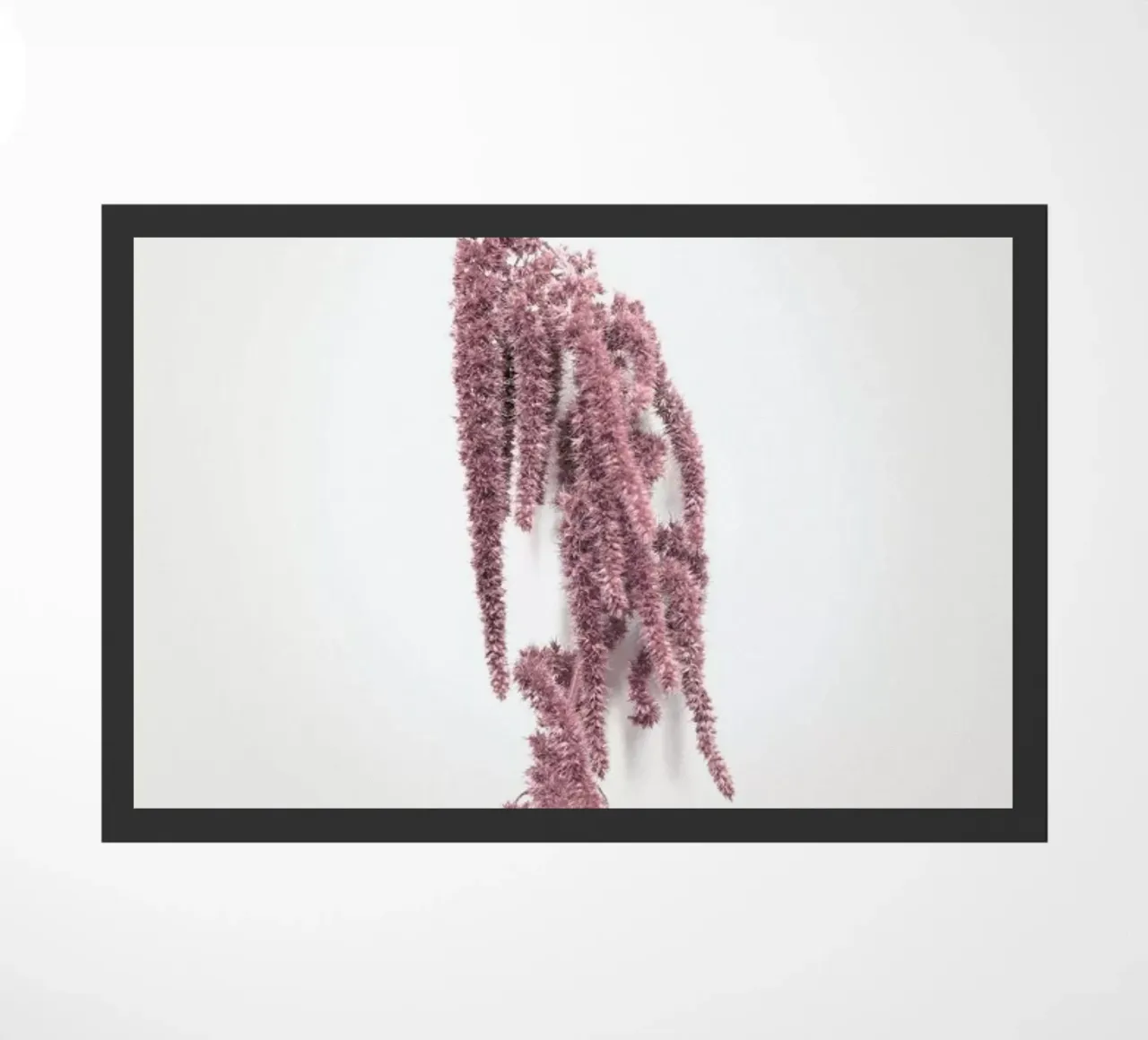 Hazelnut I zerbino da Elena Veronese