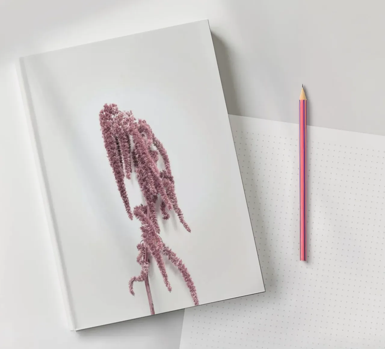 Hazelnut I notebook by Elena Veronese