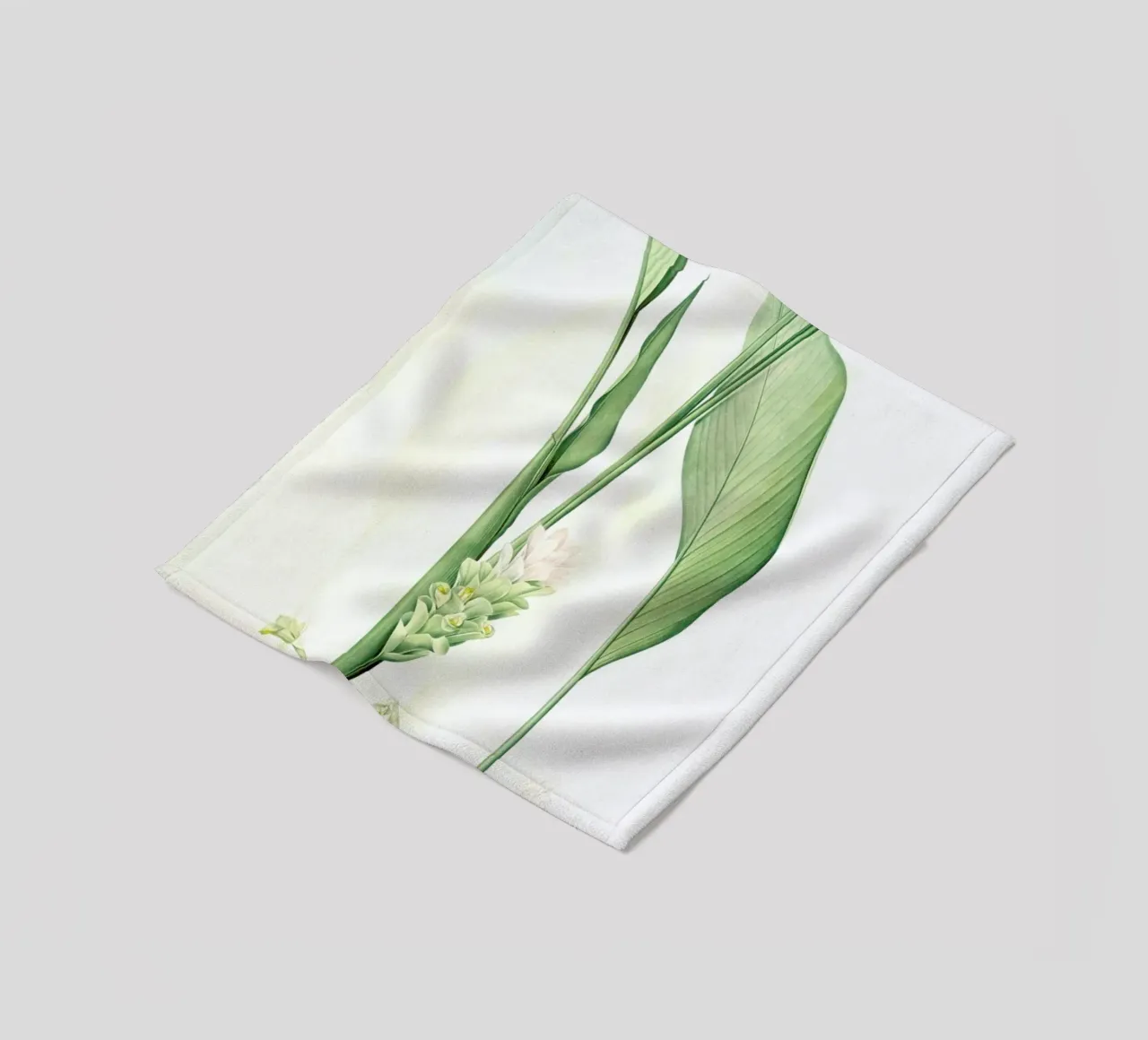 Curcuma longa, -Pierre Joseph, coperta in pile da Artokoloro Quint Lox Ltd