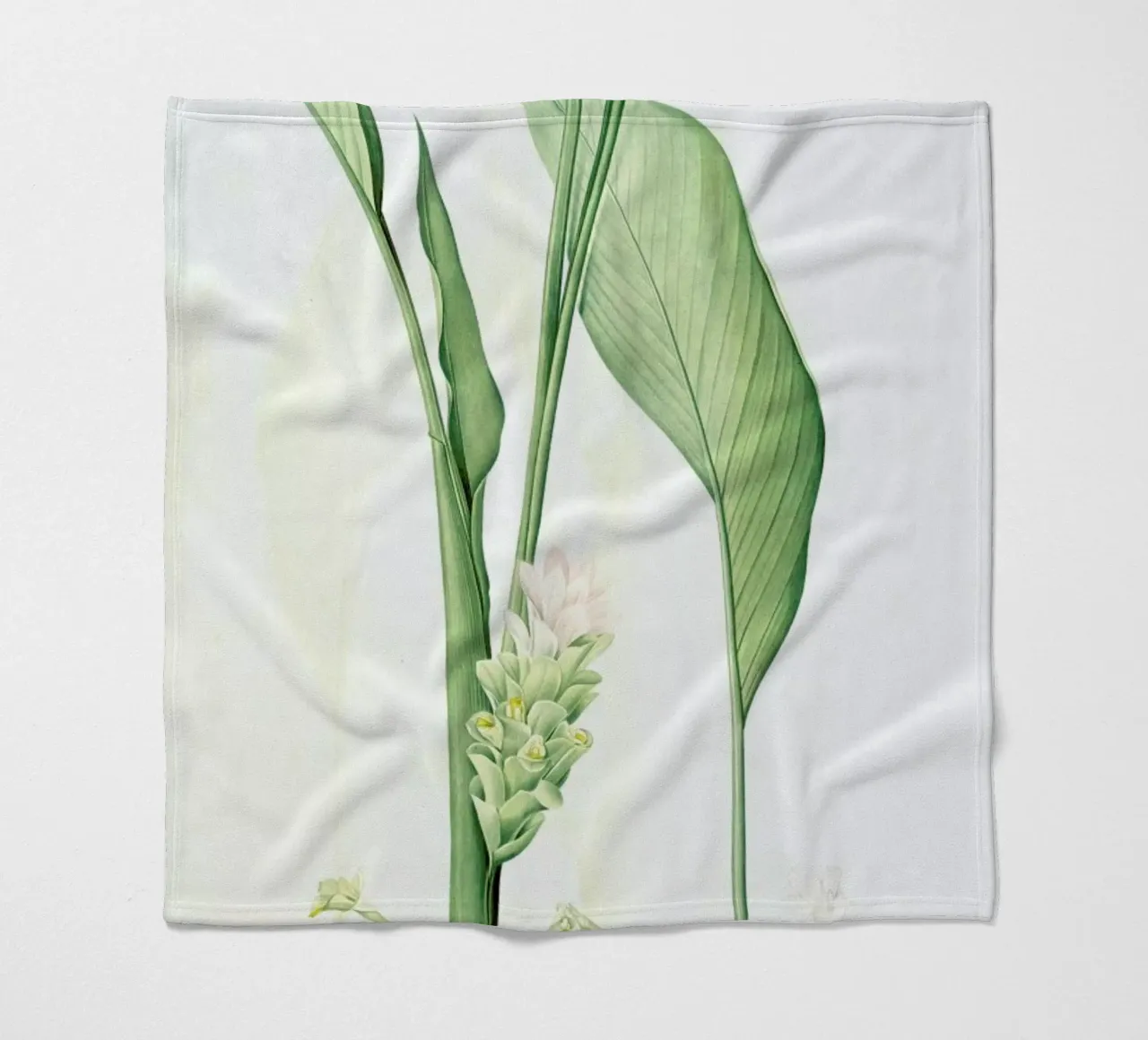 Curcuma longa, -Pierre Joseph, coperta in pile da Artokoloro Quint Lox Ltd