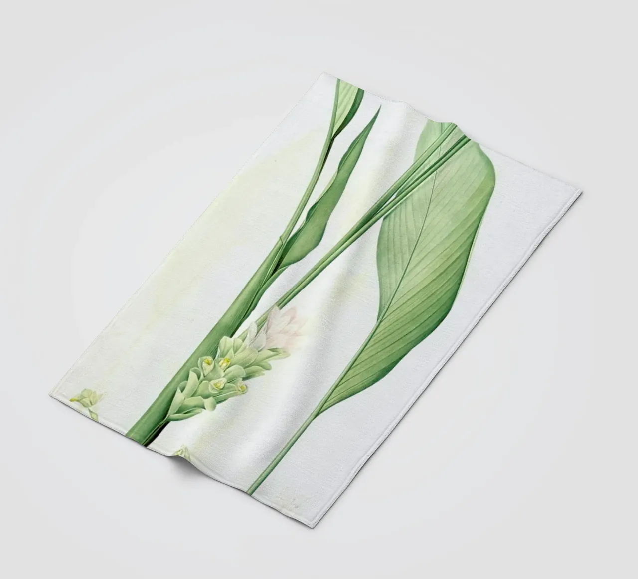 Curcuma longa, -Pierre Joseph, coperta in pile da Artokoloro Quint Lox Ltd