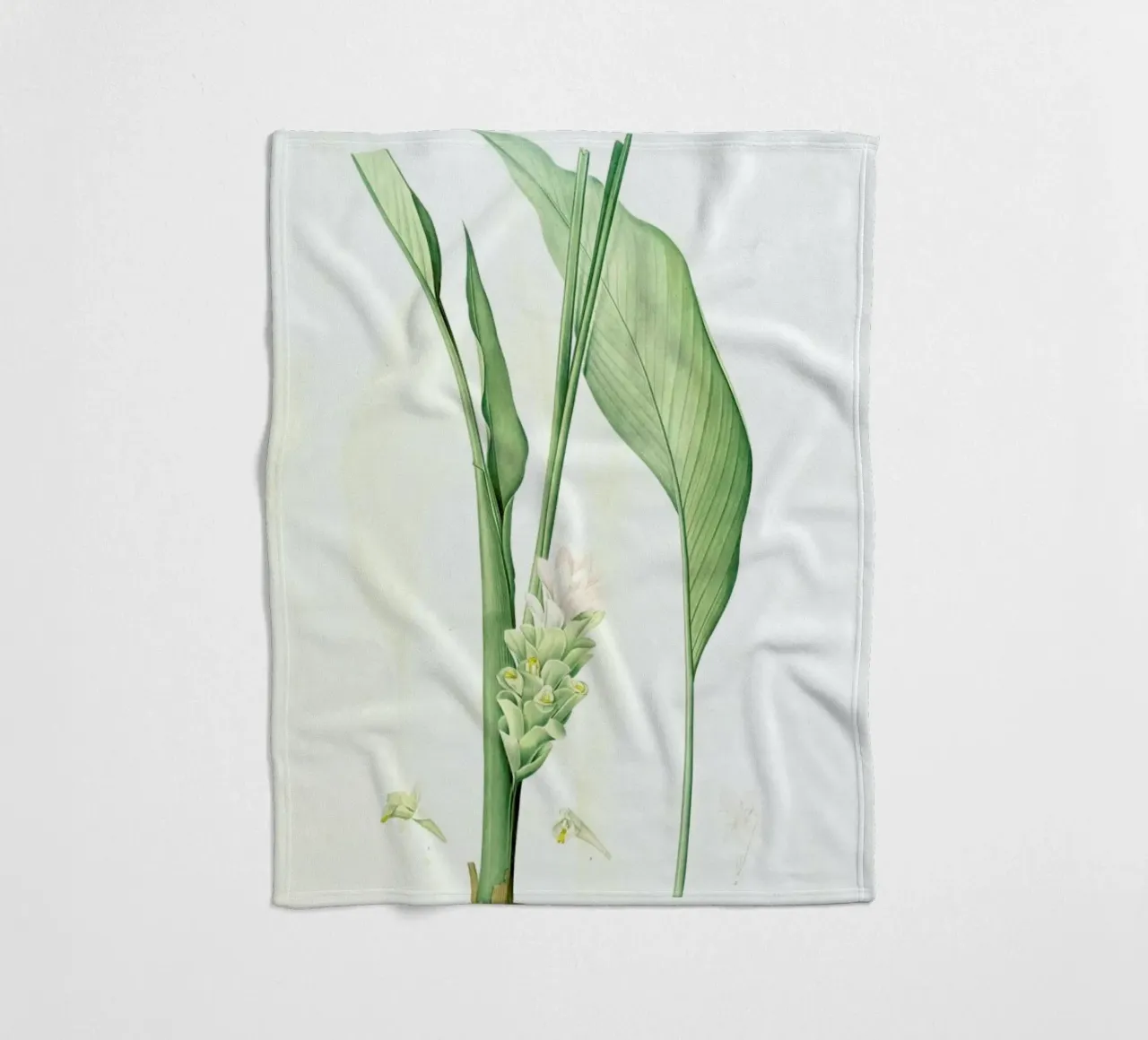 Curcuma longa, -Pierre Joseph, coperta in pile da Artokoloro Quint Lox Ltd