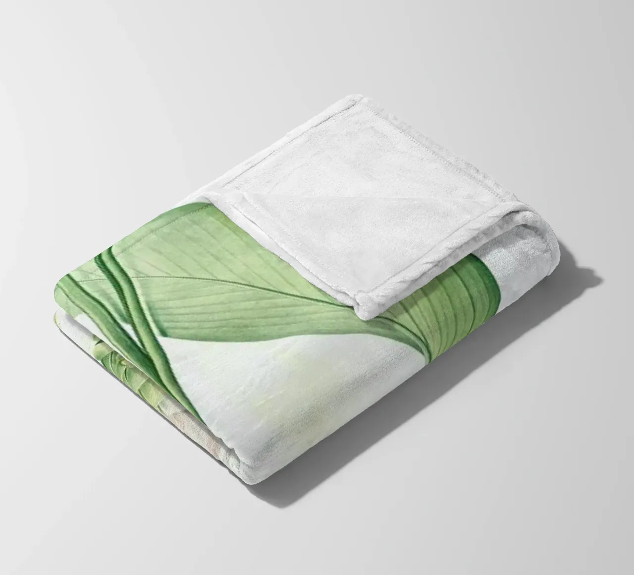 Curcuma longa, -Pierre Joseph, coperta in pile da Artokoloro Quint Lox Ltd