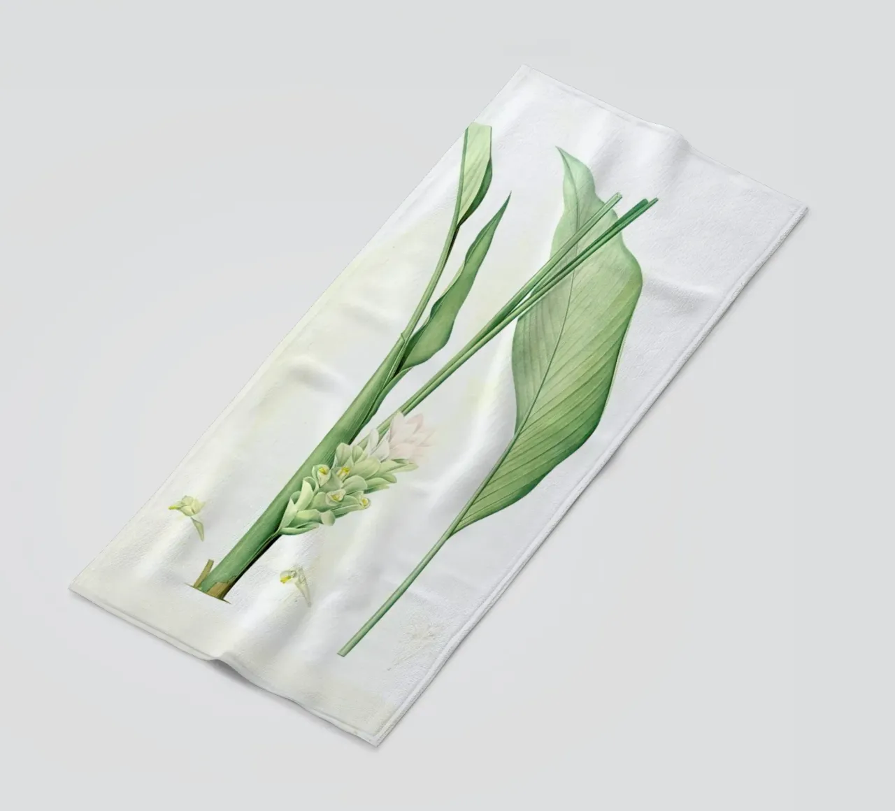 Curcuma longa, -Pierre Joseph, telo mare da Artokoloro Quint Lox Ltd