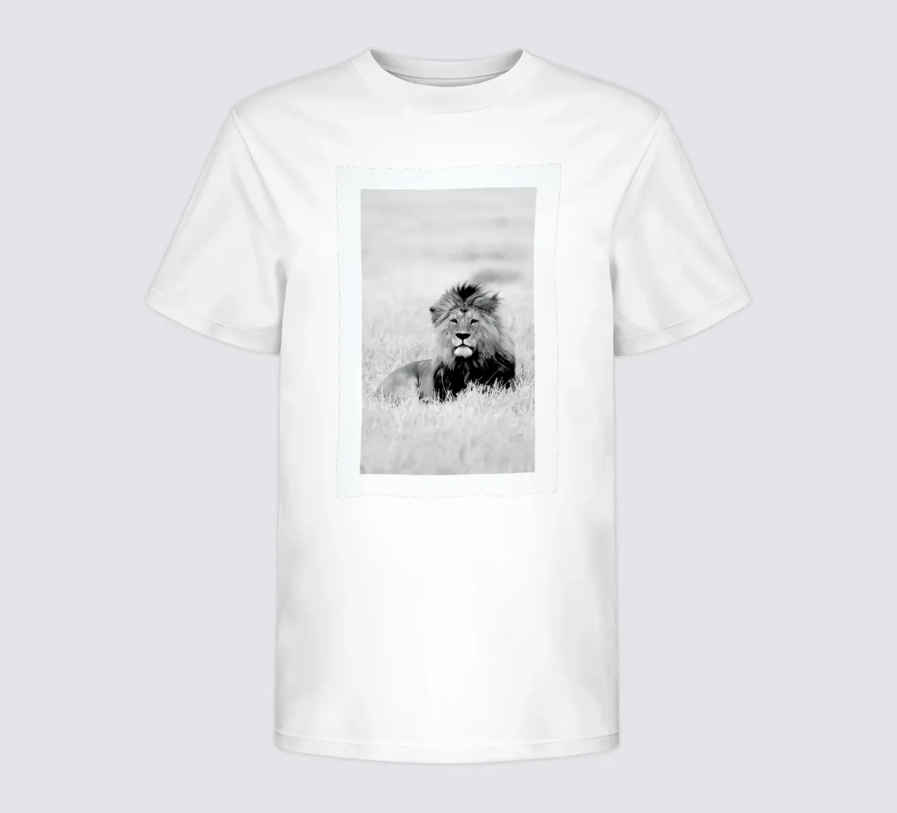 On the Plains kids t-shirt by Natural Kingdom