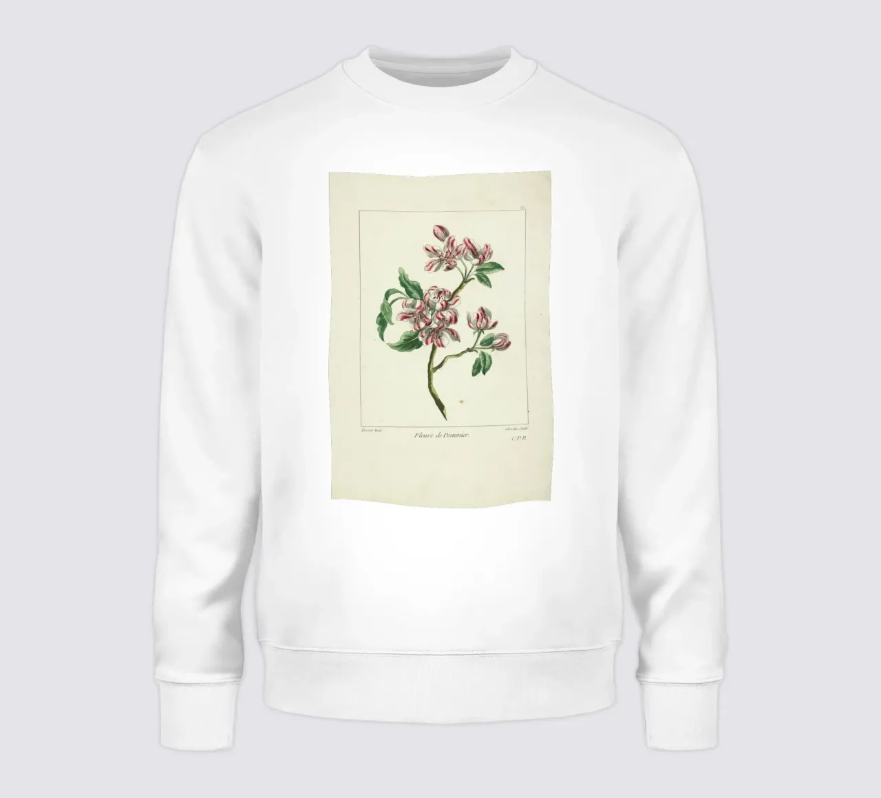 Juste Chevillet, Fleurs de pommier Caillou Marguerite, 1755 - Juste Chevillet felpa da Artokoloro Quint Lox Ltd