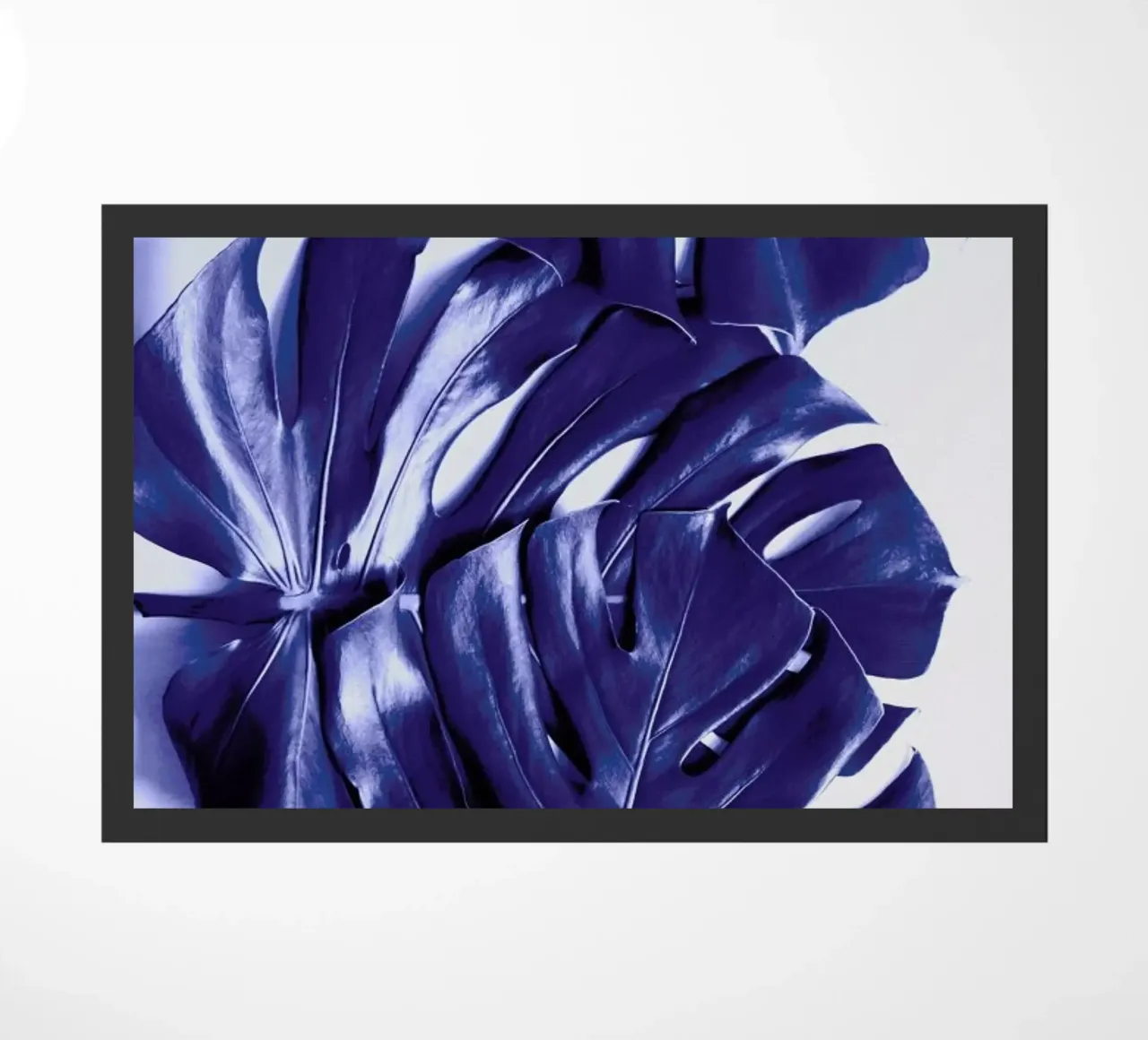 Monstera Blue zerbino da Elena Veronese