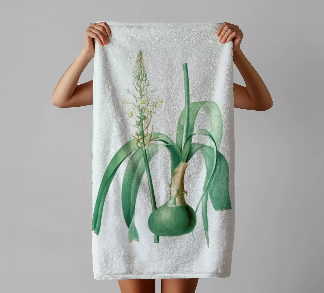 Ornithogalum longibracteatum,  Sea onion - Pierre Joseph asciugamano da bagno da Artokoloro Quint Lox Ltd
