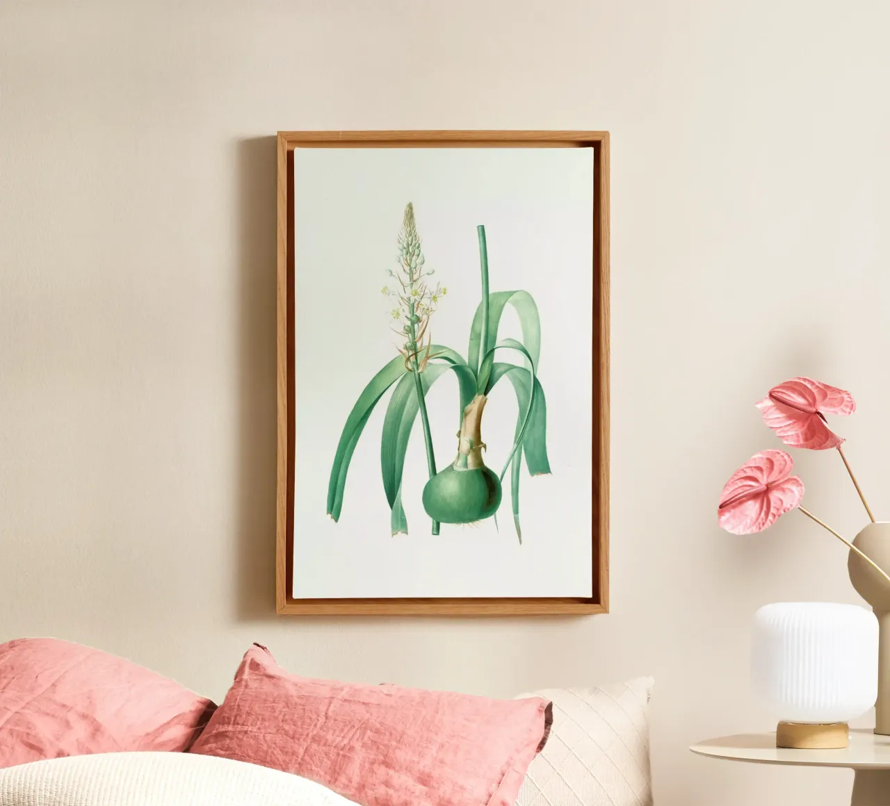 Ornithogalum longibracteatum,  Sea onion - Pierre Joseph canvas met Baklijst van Artokoloro Quint Lox Ltd