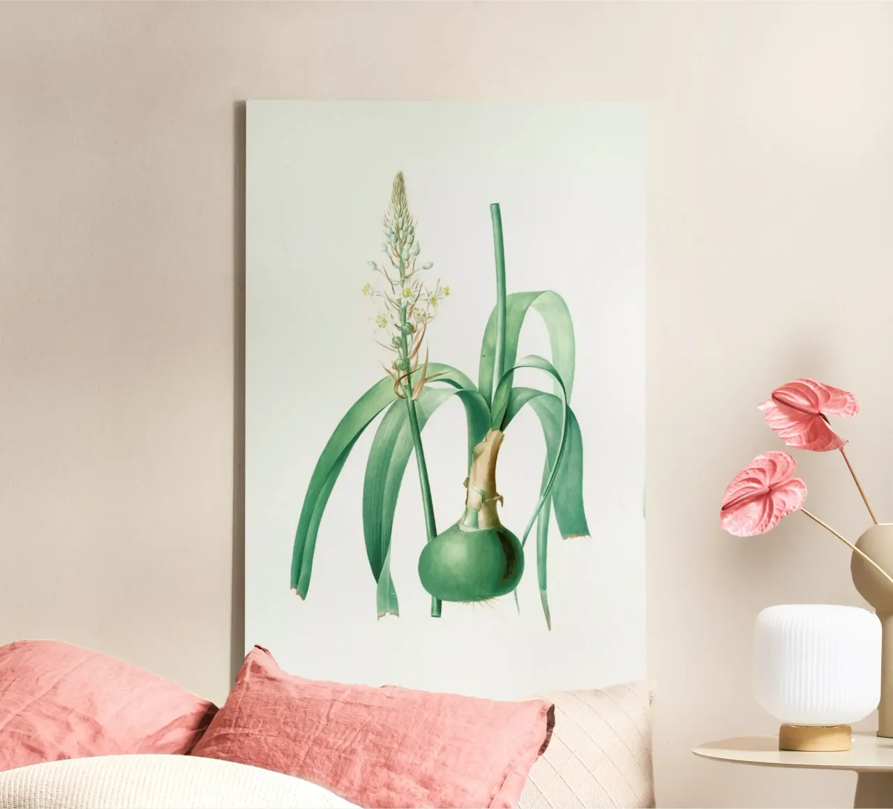 Ornithogalum longibracteatum,  Sea onion - Pierre Joseph canvas met Baklijst van Artokoloro Quint Lox Ltd