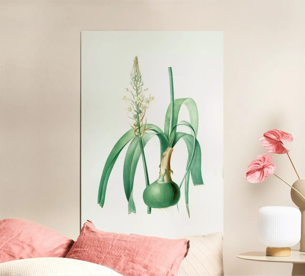 Ornithogalum longibracteatum,  Sea onion - Pierre Joseph carta hahnemühle da Artokoloro Quint Lox Ltd