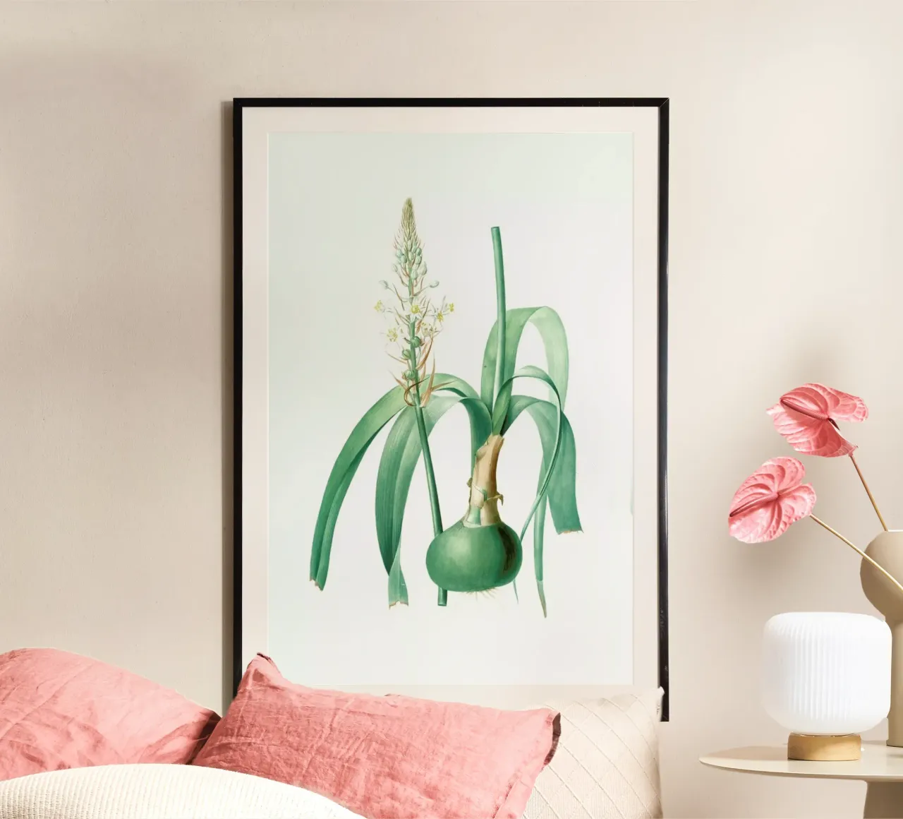 Ornithogalum longibracteatum,  Sea onion - Pierre Joseph carta hahnemühle da Artokoloro Quint Lox Ltd