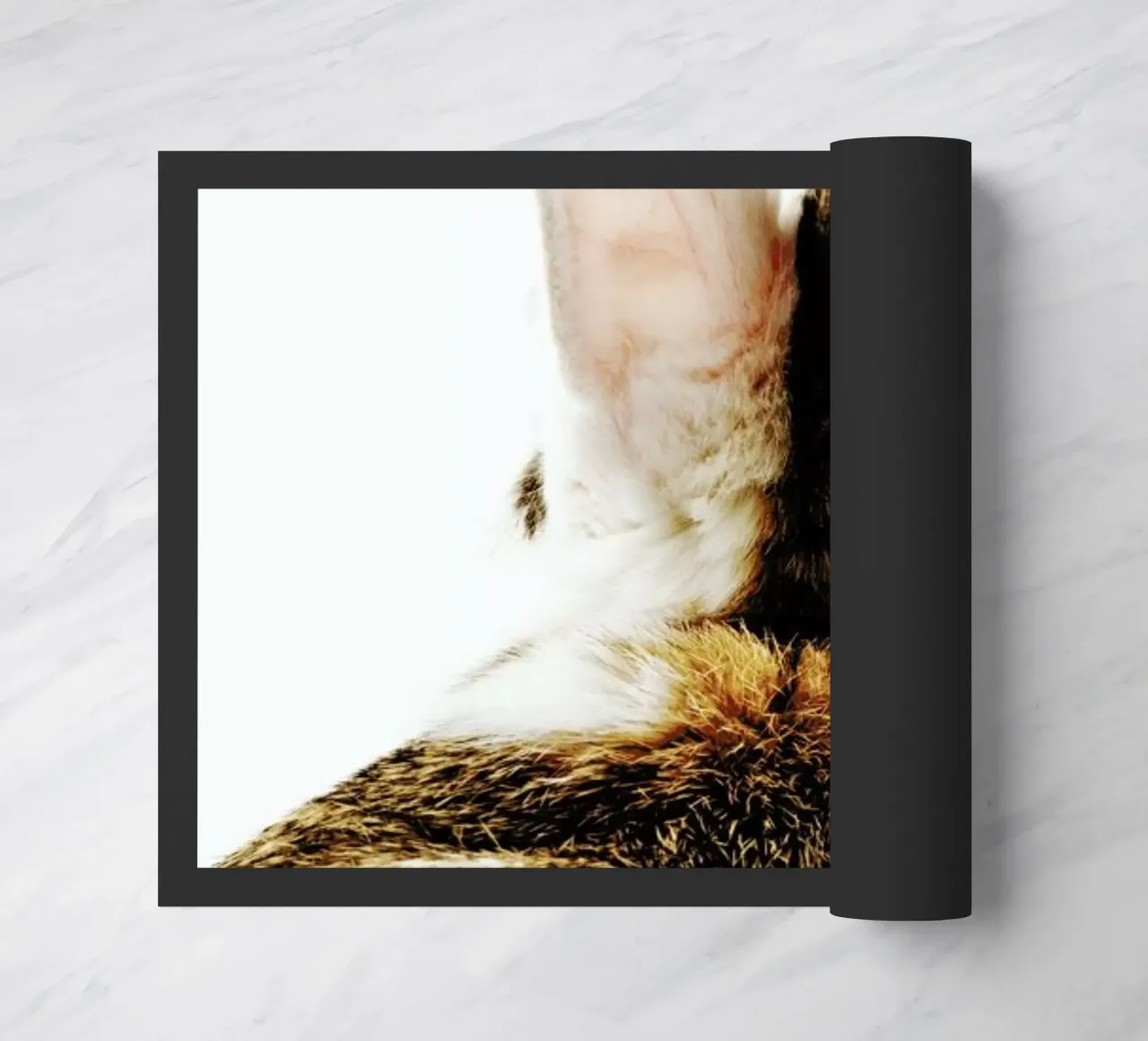 Bunny Ears zerbino da Natural Kingdom