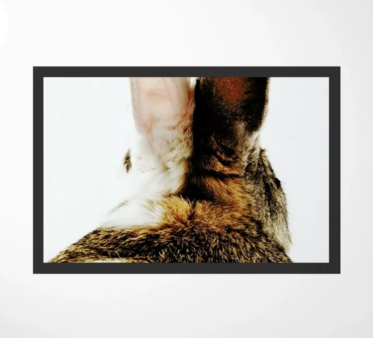 Bunny Ears zerbino da Natural Kingdom