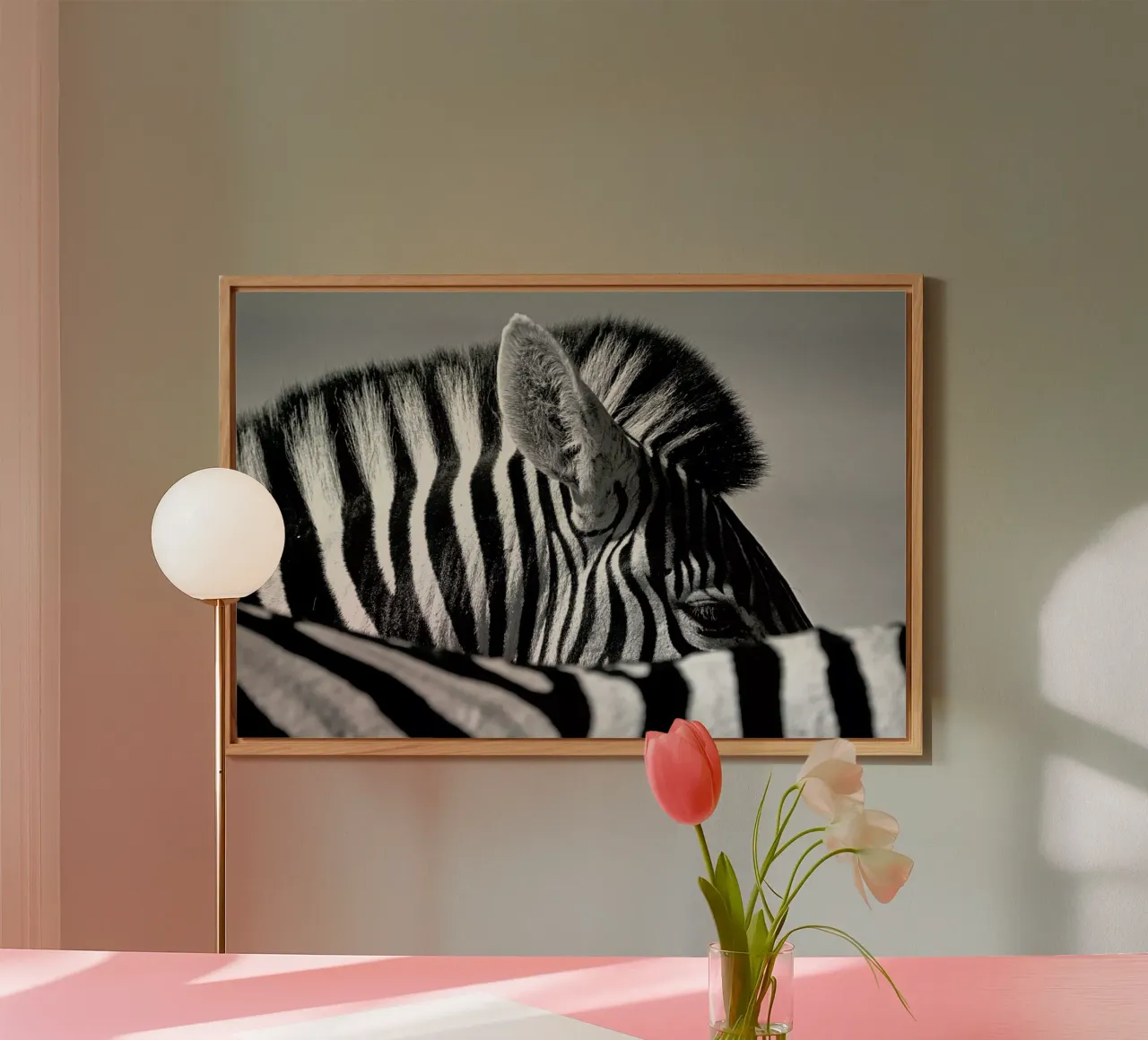 Curious Zebra - Marc Pelissier alluminio dibond da Pictufy