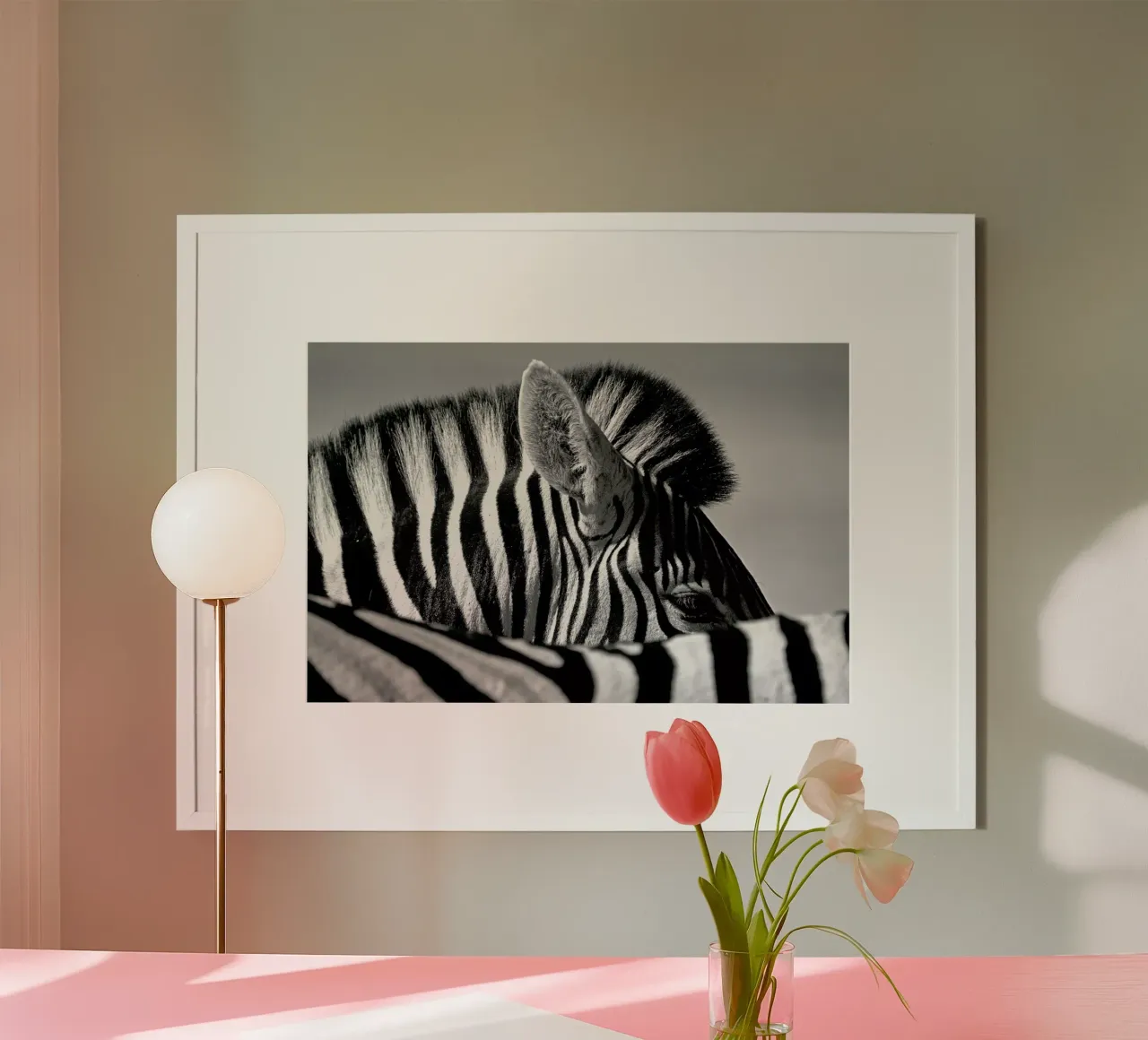 Curious Zebra - Marc Pelissier poster da Pictufy