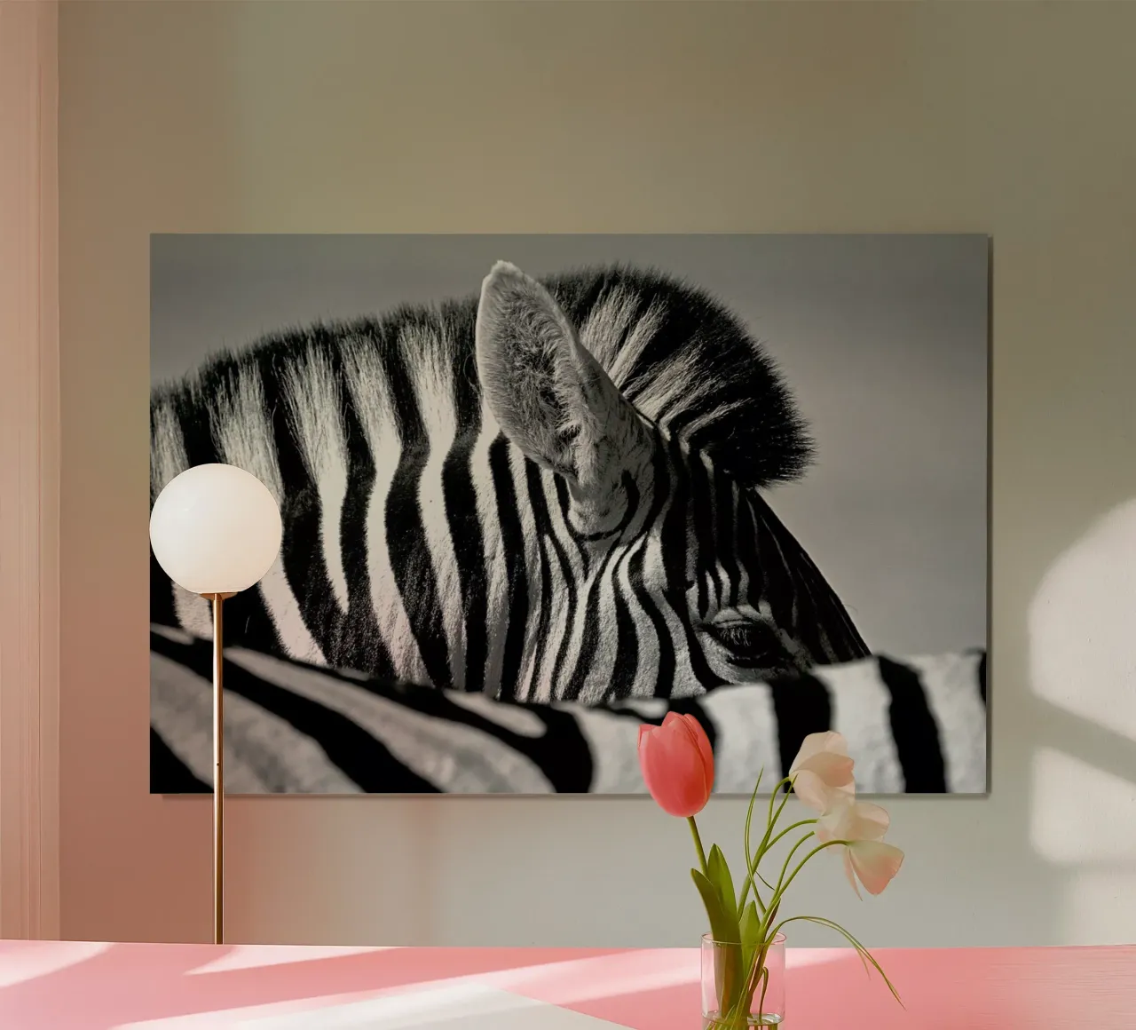 Curious Zebra - Marc Pelissier poster da Pictufy