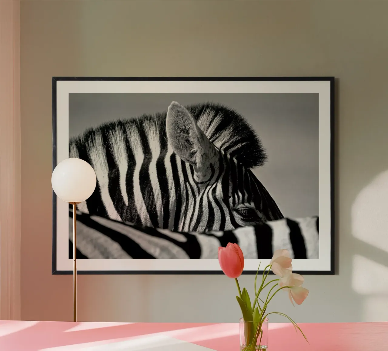 Curious Zebra - Marc Pelissier poster da Pictufy