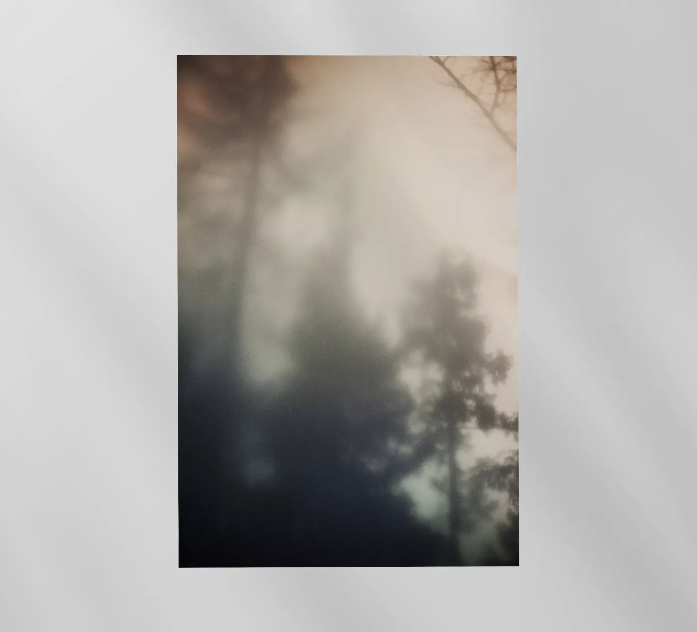 Treetops pellicola backlit da Klaus with K