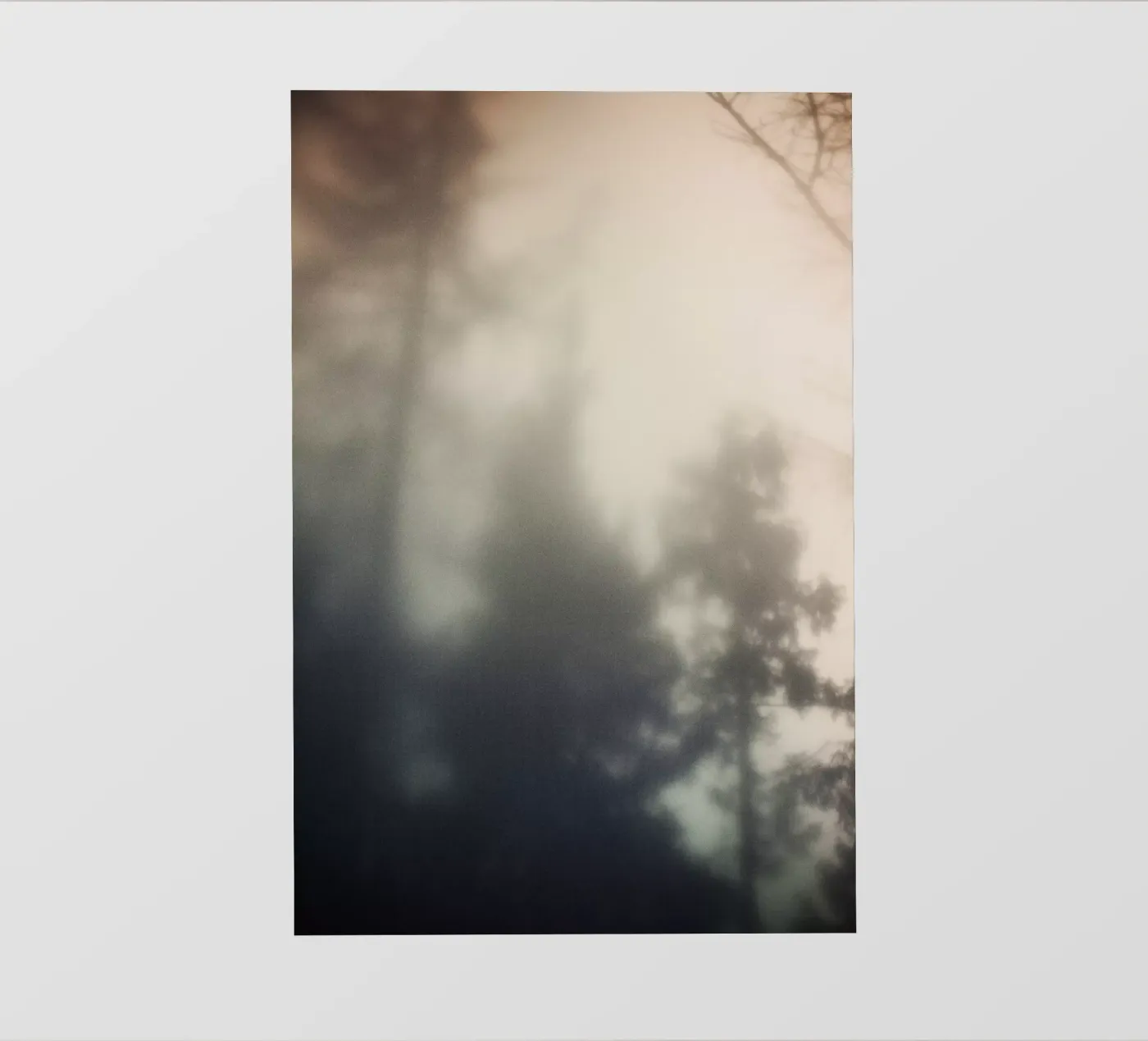 Treetops pellicola backlit da Klaus with K