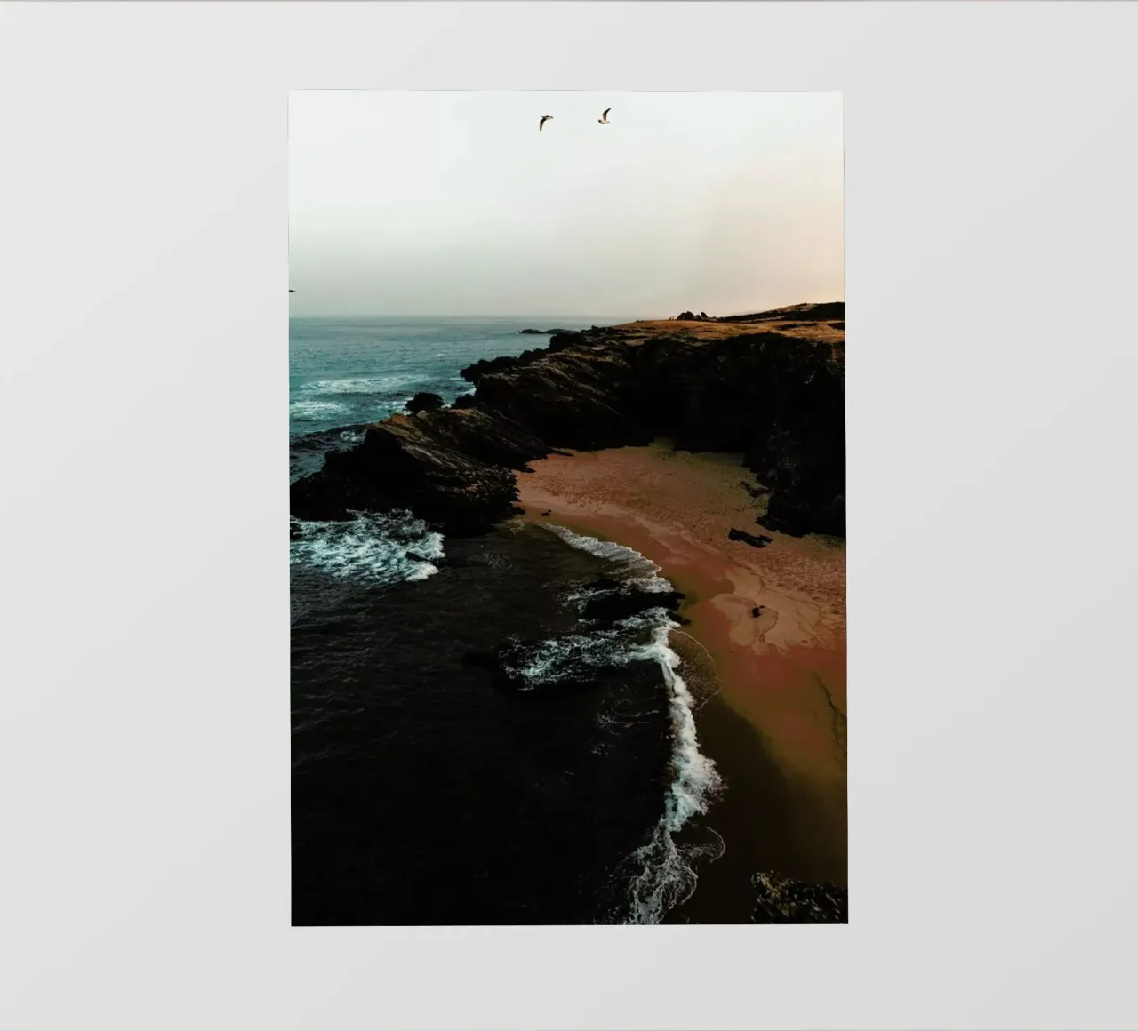 Portuguese Beach Coast with Birds pellicola backlit da Sebastian Hilgetag