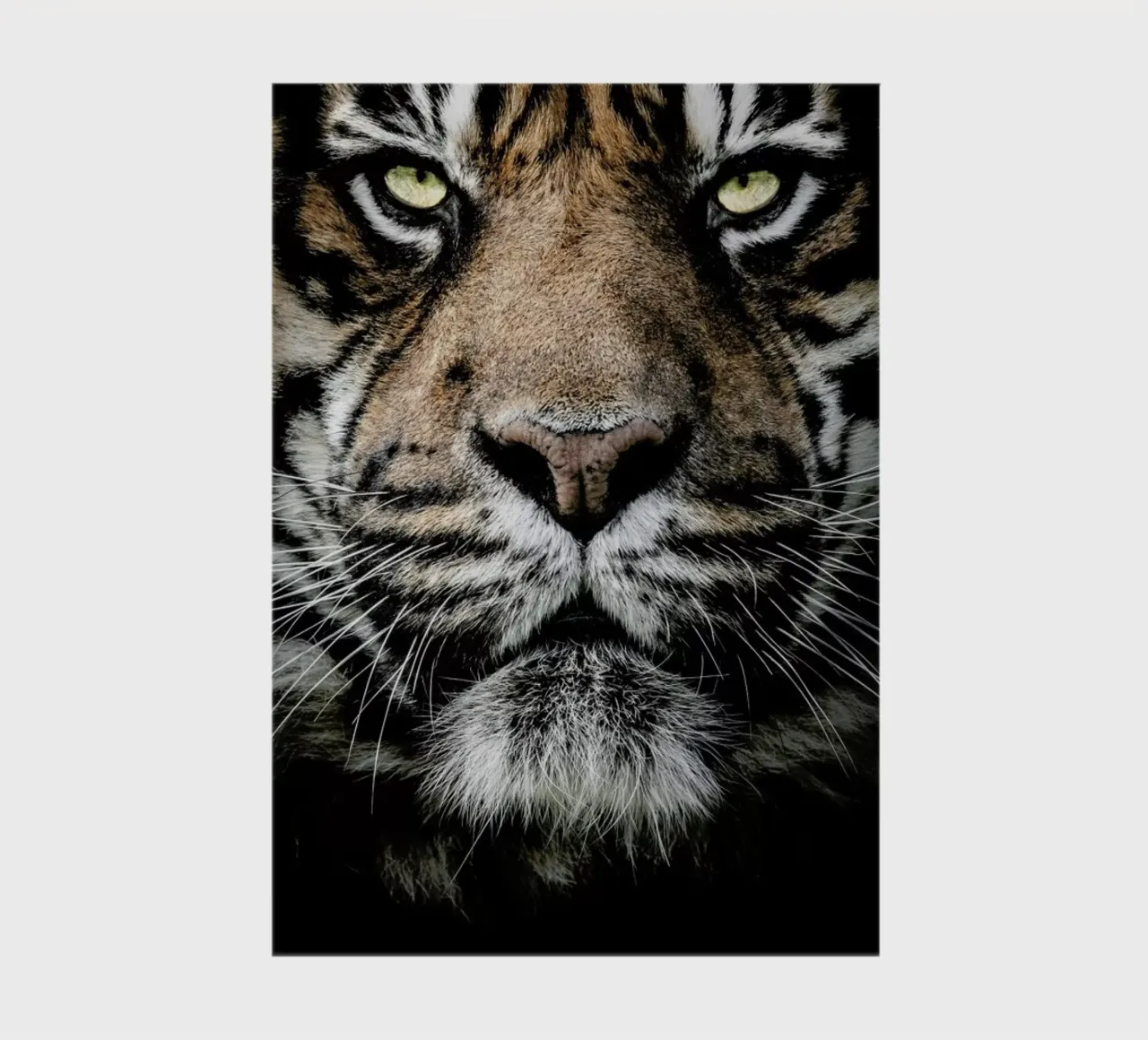 Ready for the Hunt notebook by Natural Kingdom