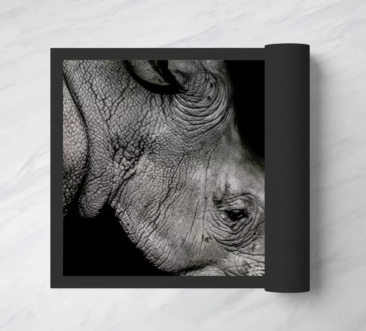 Rhino Profile by Lothare Dambreville zerbino da EyeEm Mobile GmbH