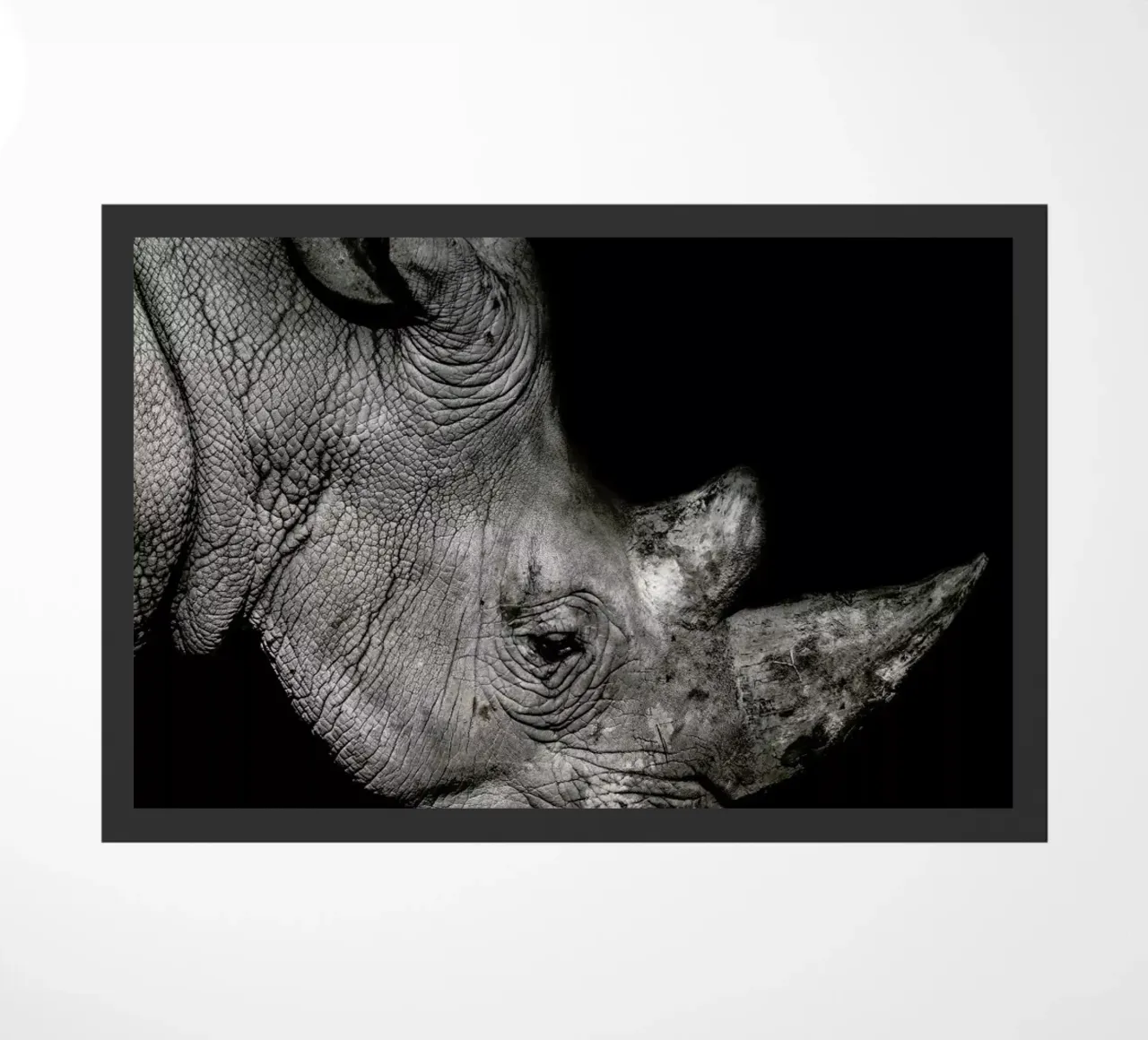 Rhino Profile by Lothare Dambreville zerbino da EyeEm Mobile GmbH